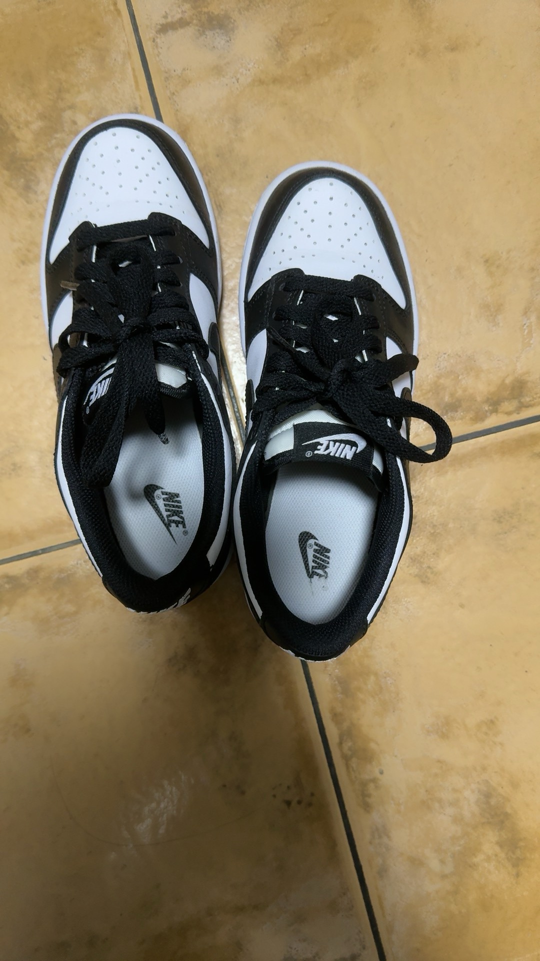 custom review-Nike Dunk Low Retro White Black Panda GS