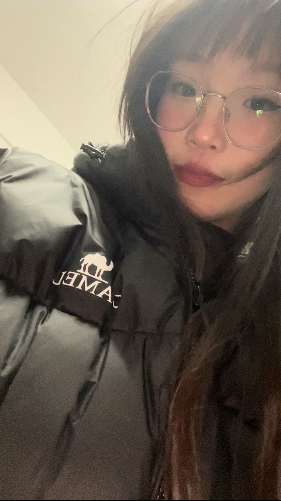 custom review-CAMEL Цветовой блок Пэчворк Термический Устойчивый к холоду Удобный Мягкий Анти-пиллинг С капюшоном Наполнитель Пух Унисекс