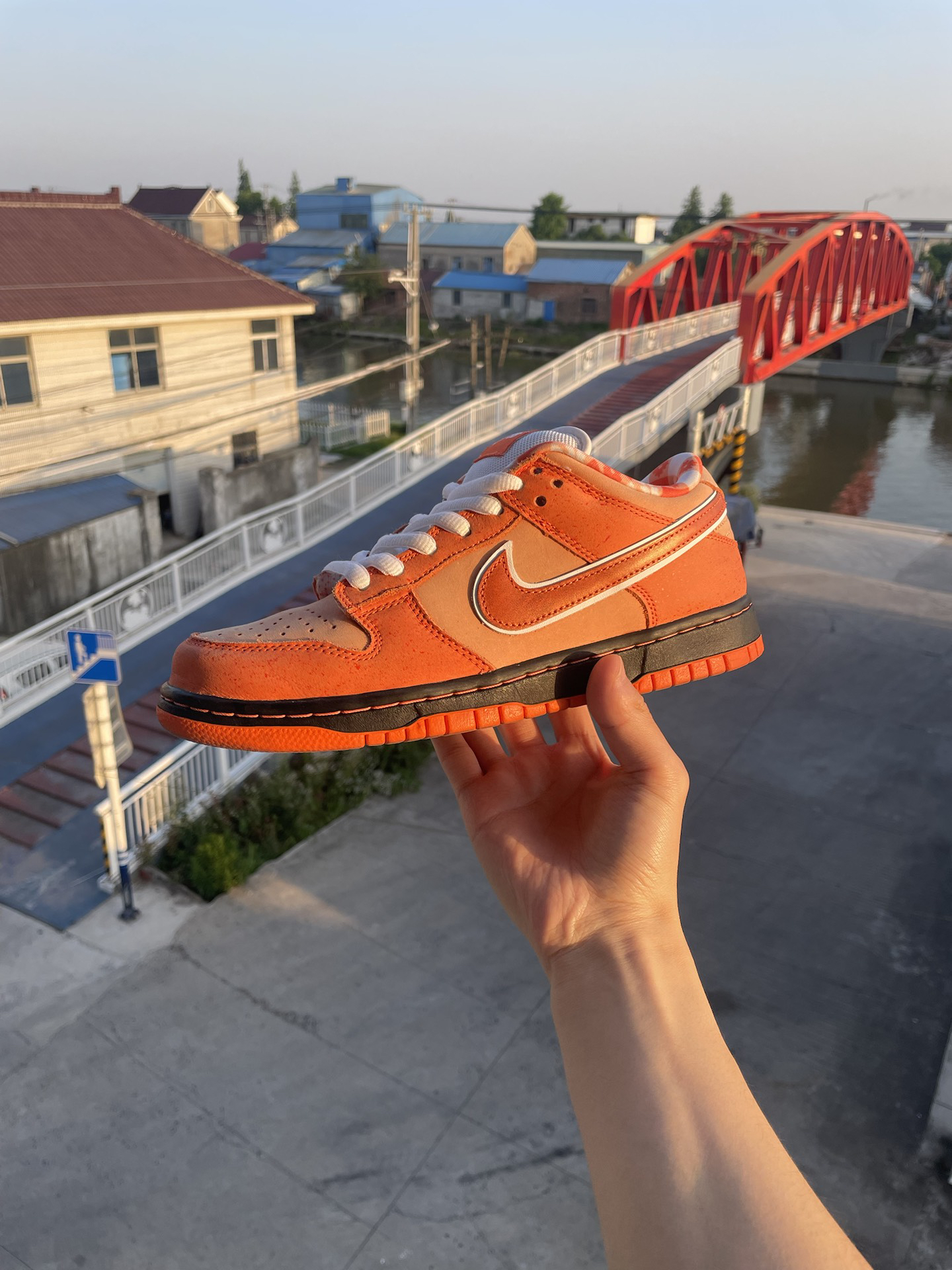 custom review-Nike SB Dunk Low Concepts Orange Lobster Men's