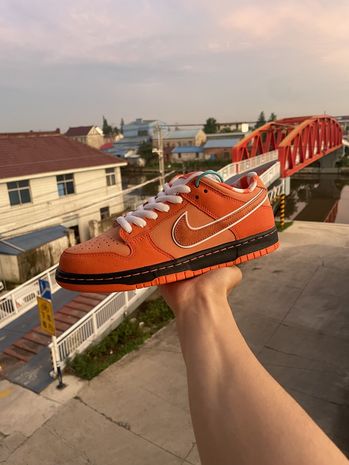 custom review-Nike SB Dunk Low Concepts Orange Lobster Men's