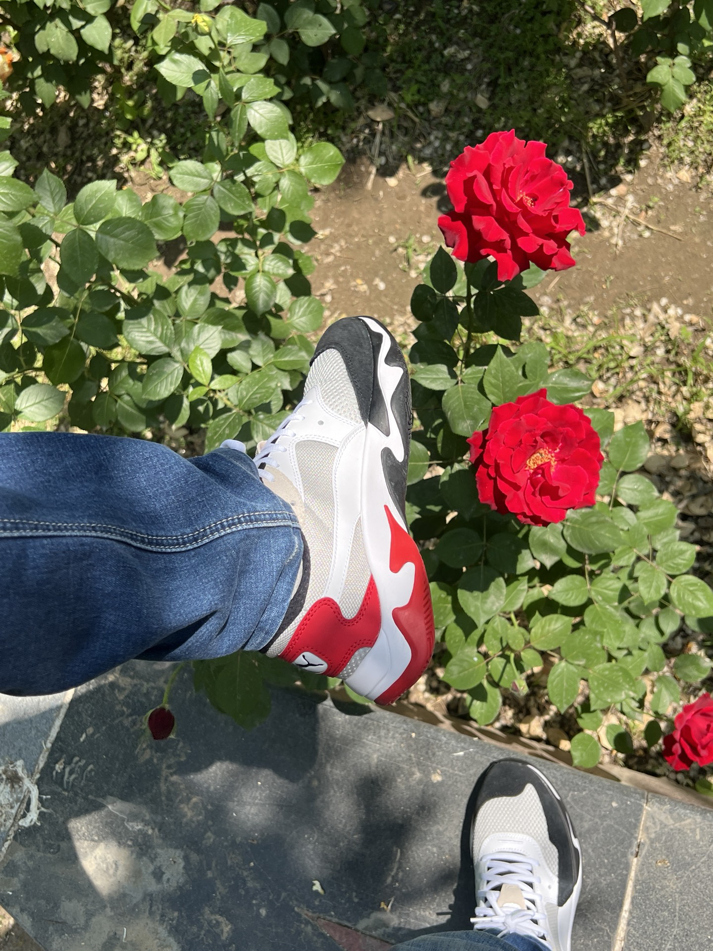 Фото из отзыва