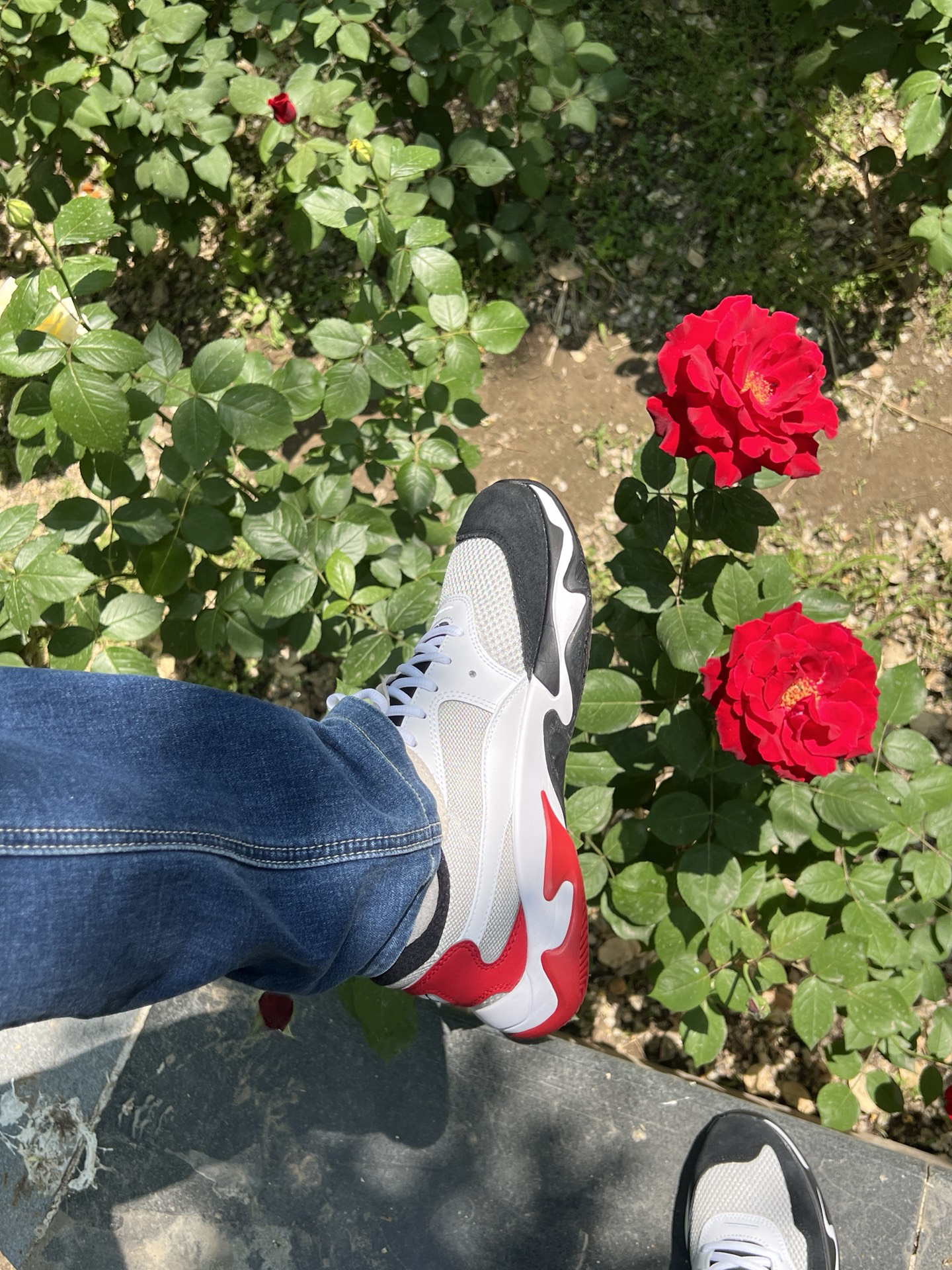 Фото из отзыва