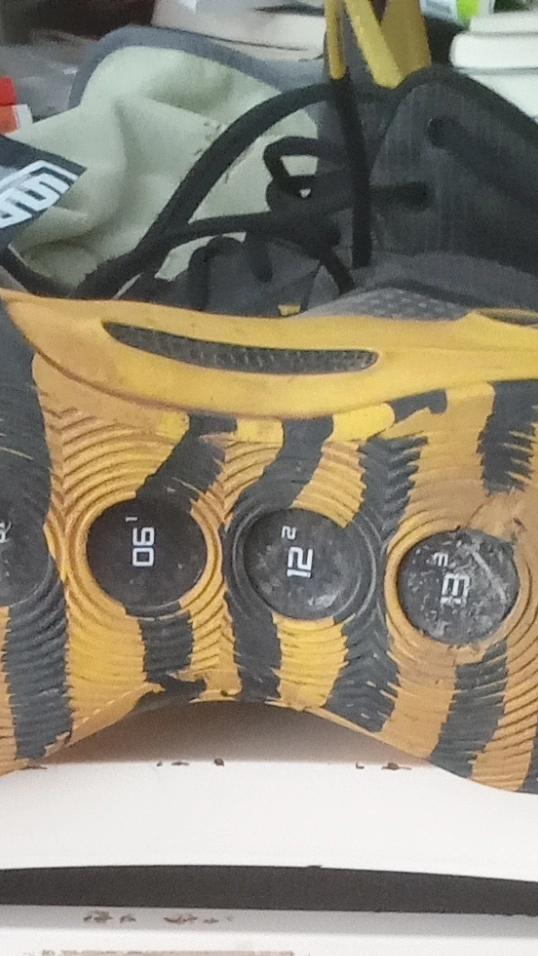 custom review-LINING Way Of Wade 10   Caution