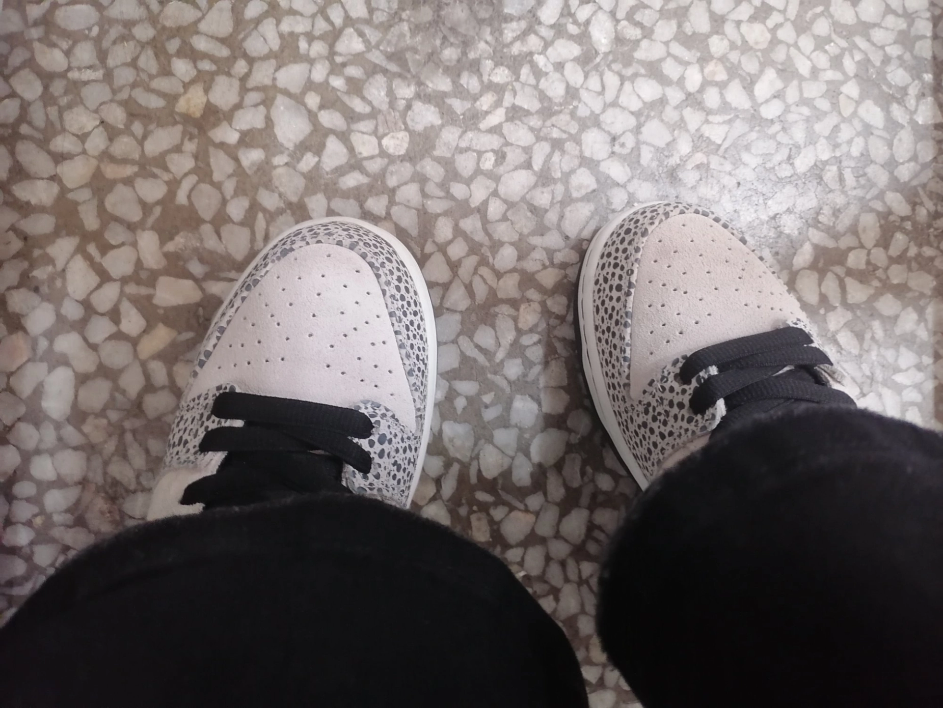 custom review-Nike SB Dunk Low Olympics Safari