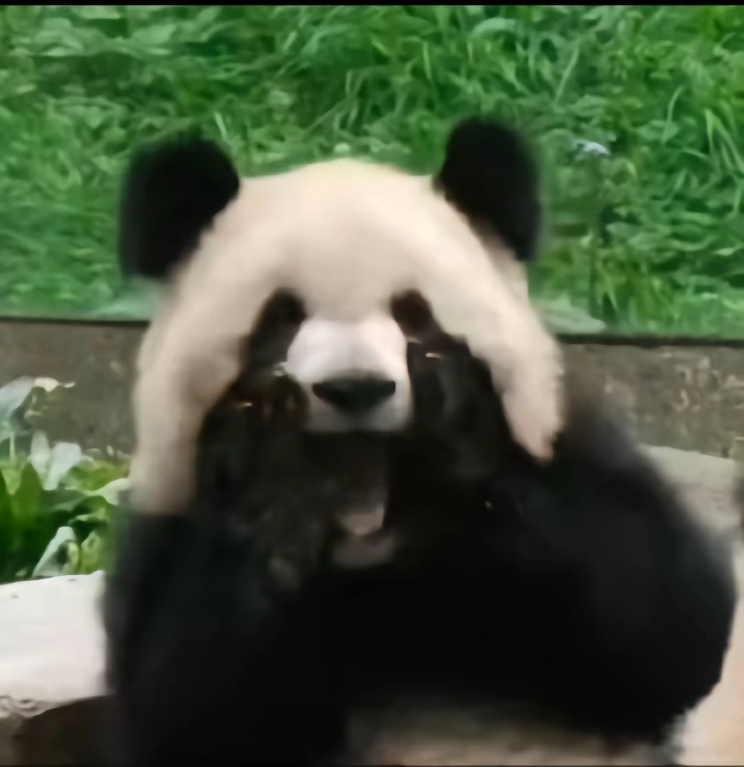 custom review-TANGCOOL Oxford Backpack Unisex Black White ТАНГКУЛ Оксфорд Рюкзак Унисекс Черный Белый