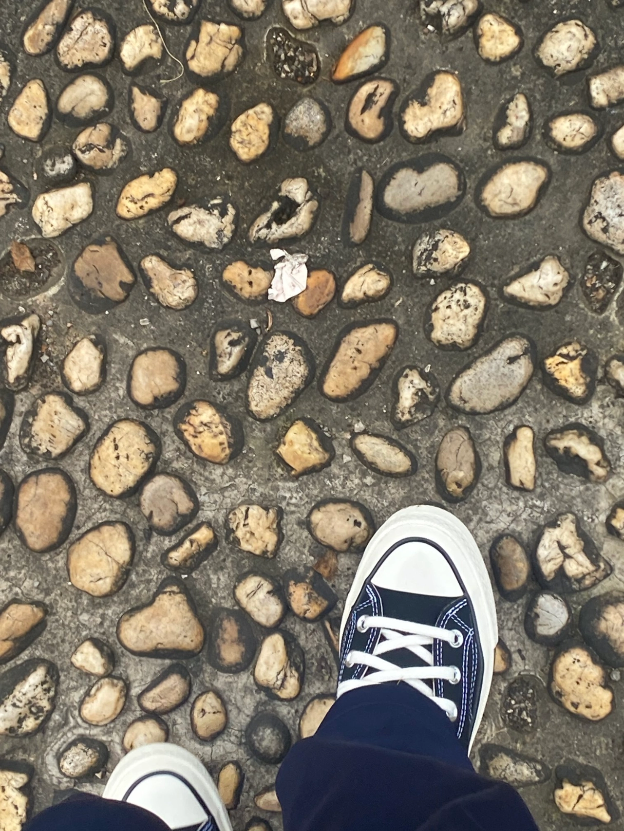 custom review-Converse Chuck Taylor All Star 70 Hi Black