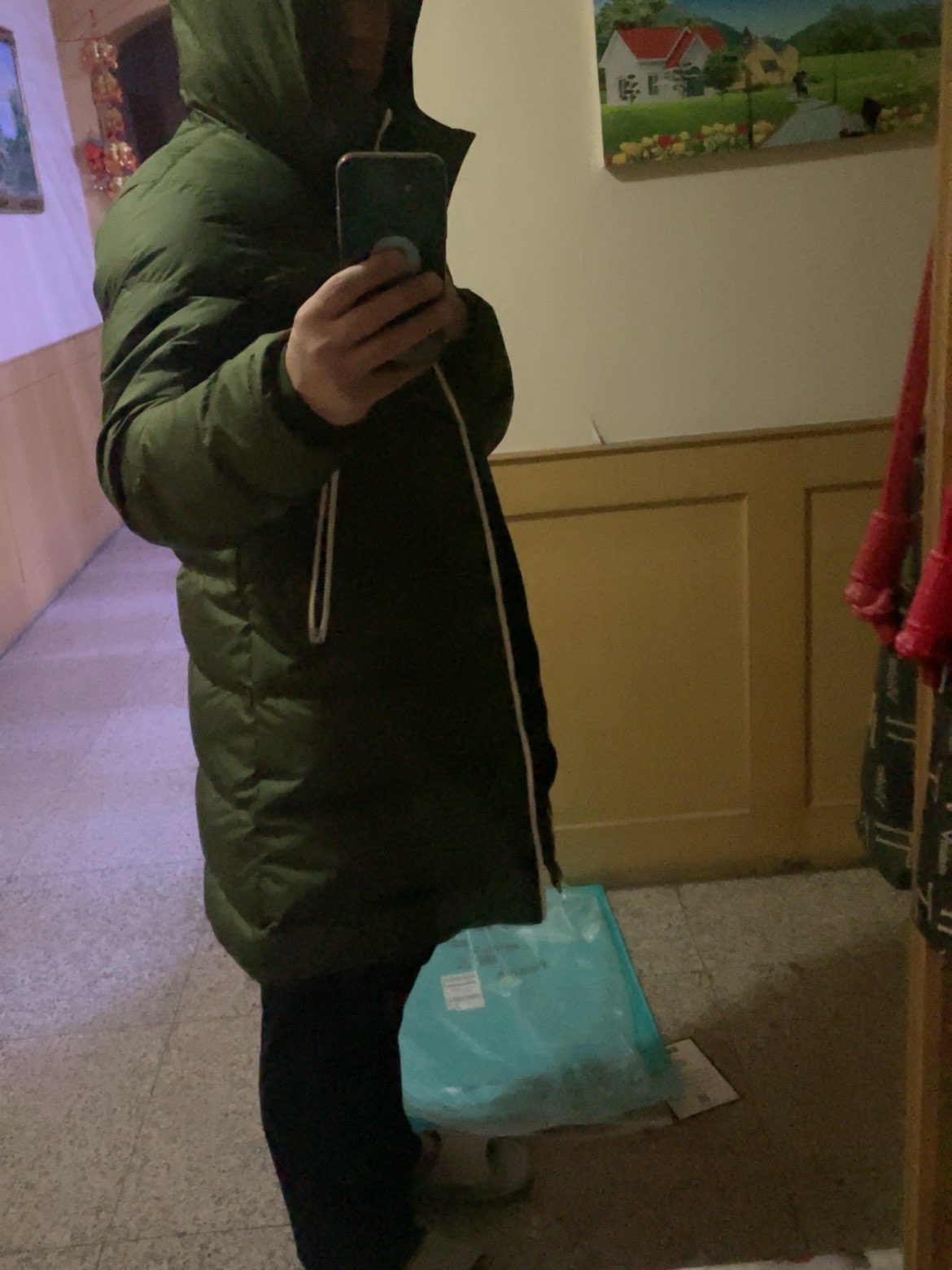 custom review-Nike Армейский зеленый Мужской Пуховик