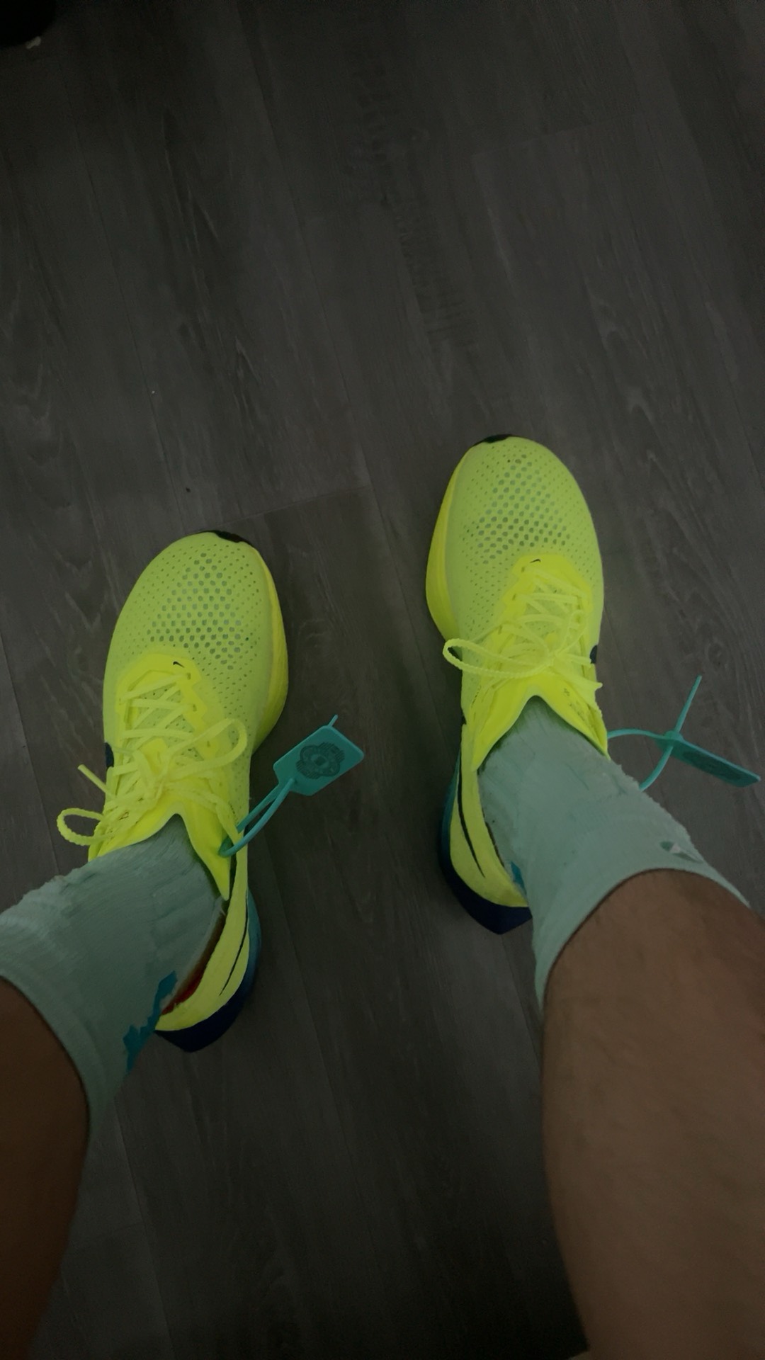 custom review-Nike ZoomX Vaporfly 3 Fast Pack