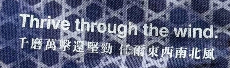 custom review-Nike Cortez Low Топ Повседневный Городской Коммутер Беговые кроссовки Мужской Бежевый