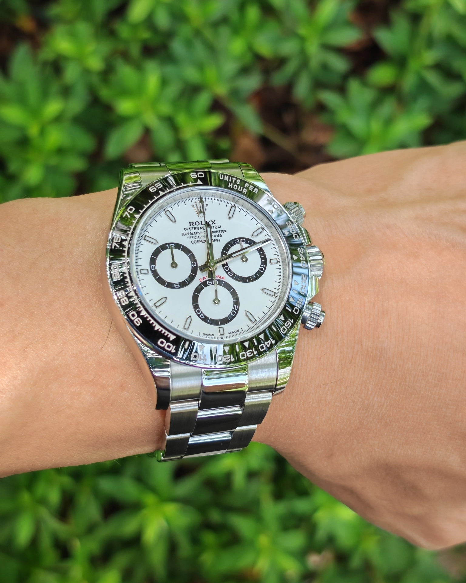 熊猫迪,钢表中的天花板