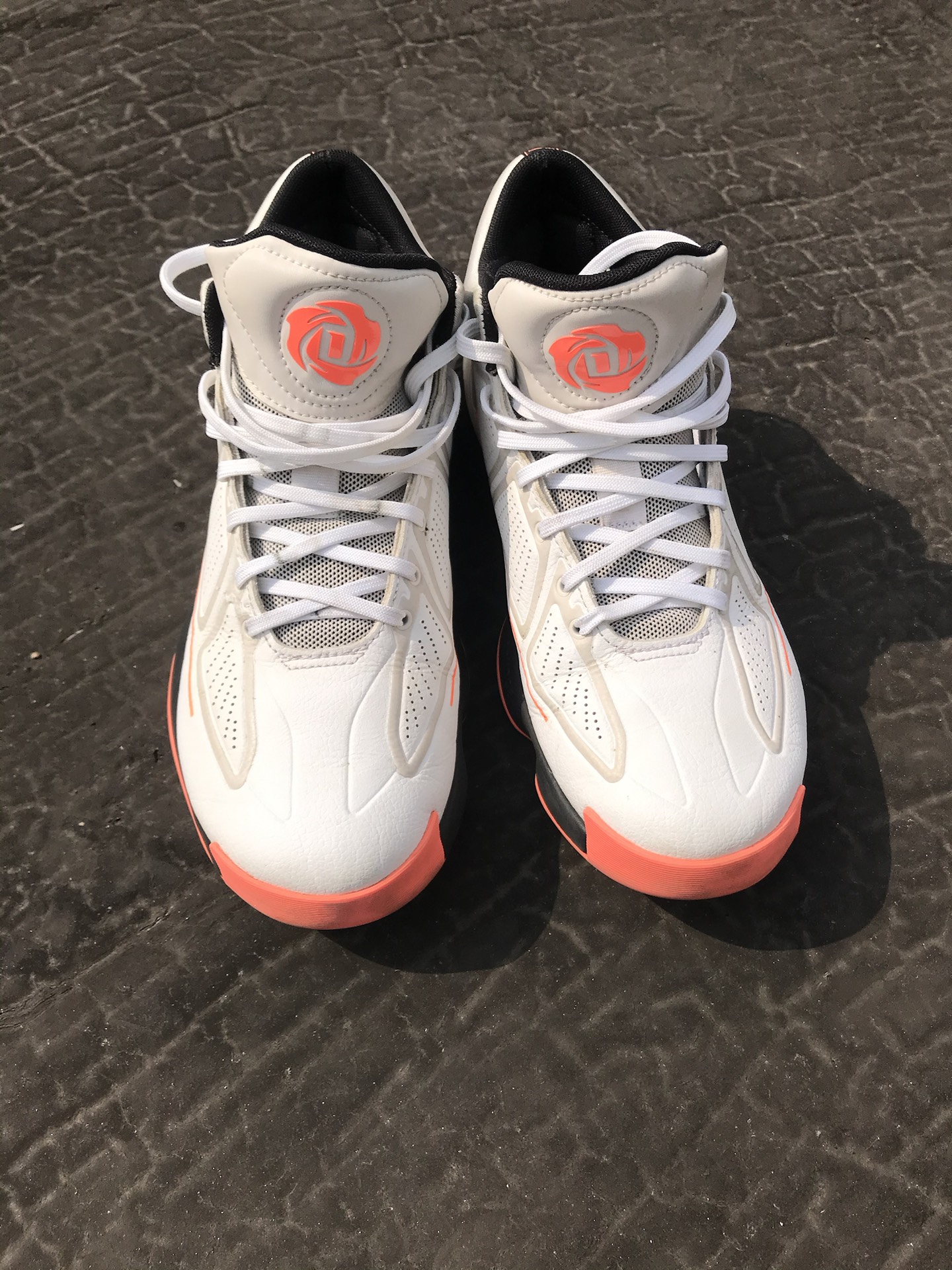 玫瑰永远盛开?谁还记得这双罗斯?