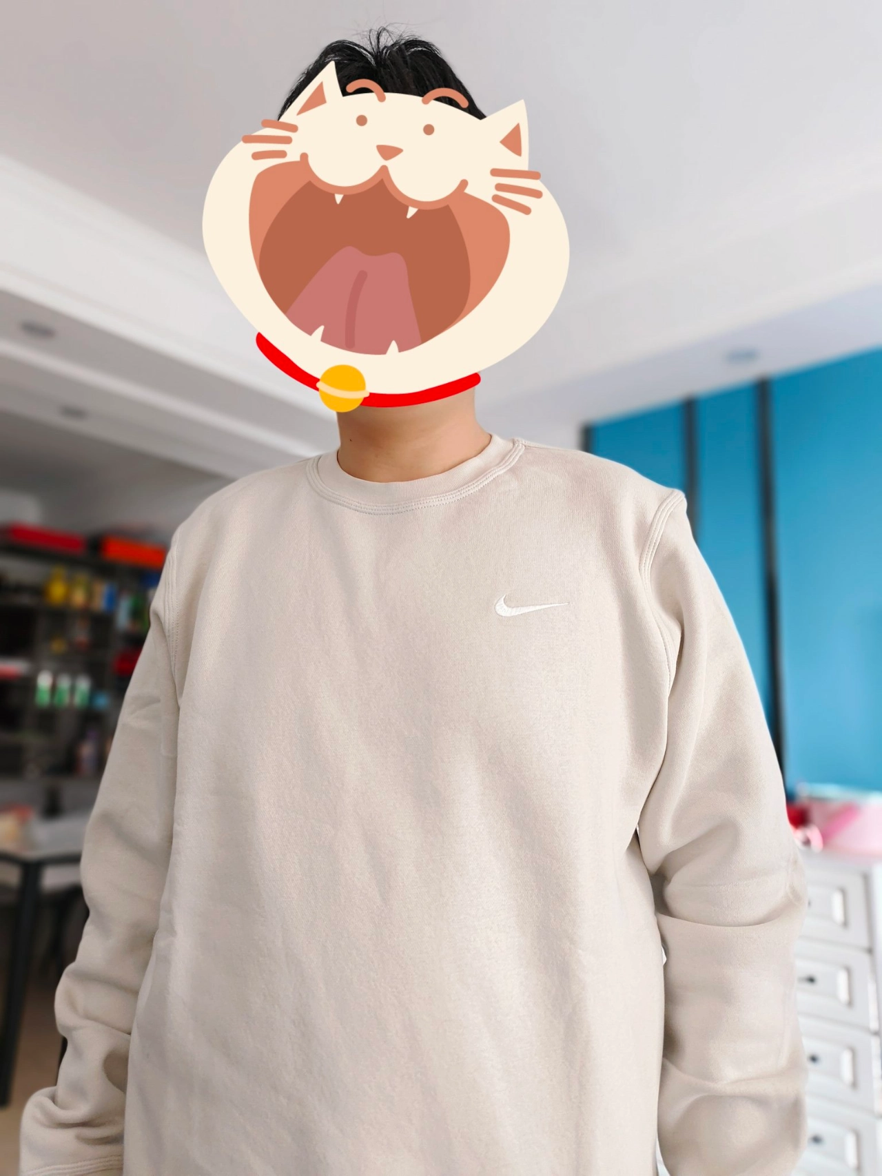 custom review-Nike Светло-серый Мужской Свитшот