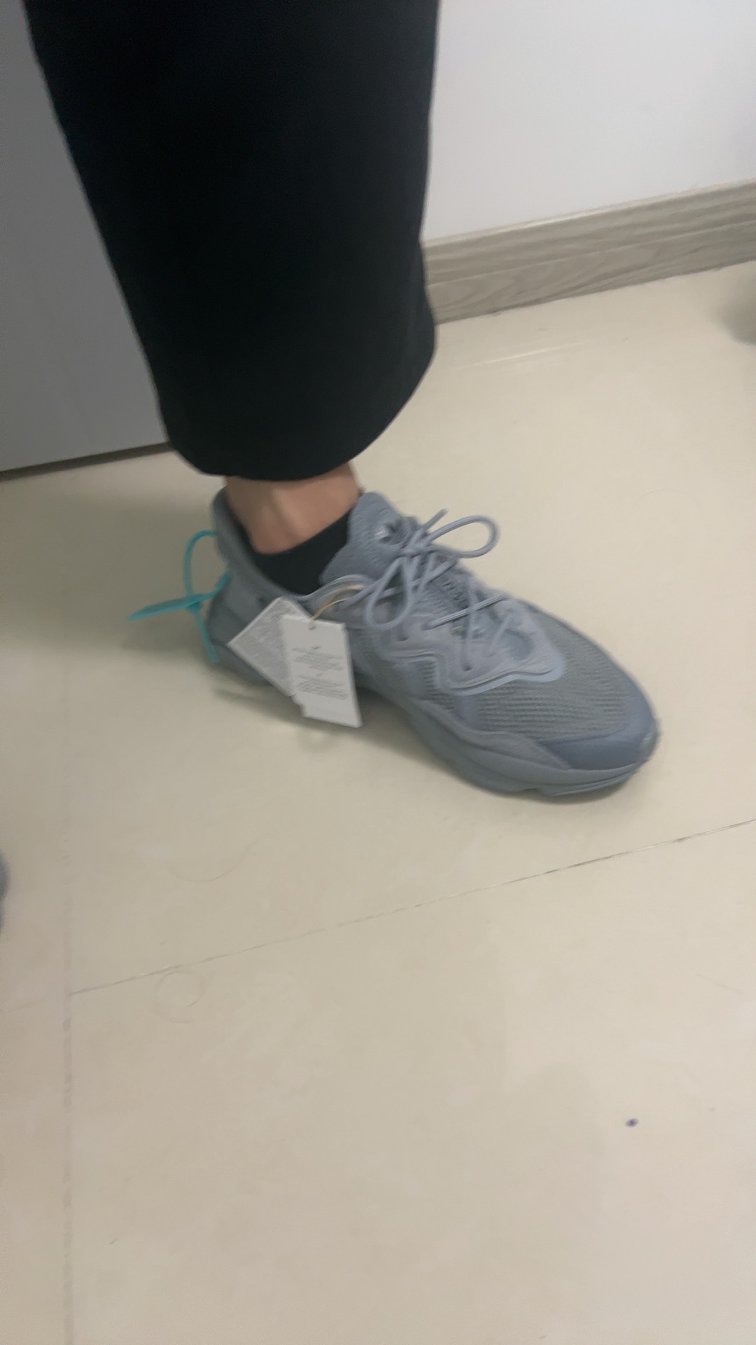 custom review-Adidas Originals Ozweego Low Топ Повседневная обувь Унисекс Серый