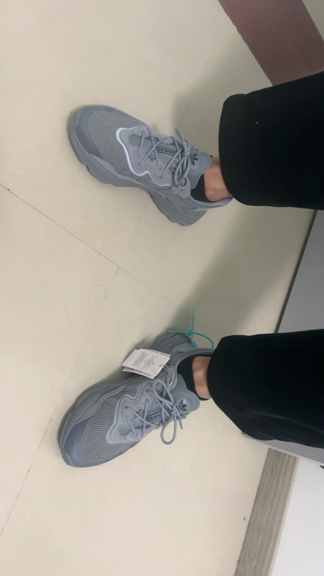 custom review-Adidas Originals Ozweego Low Топ Повседневная обувь Унисекс Серый