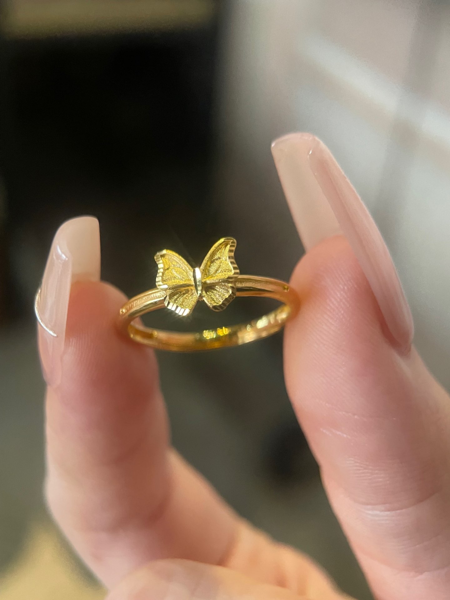 在逃公主的蝴蝶戒指