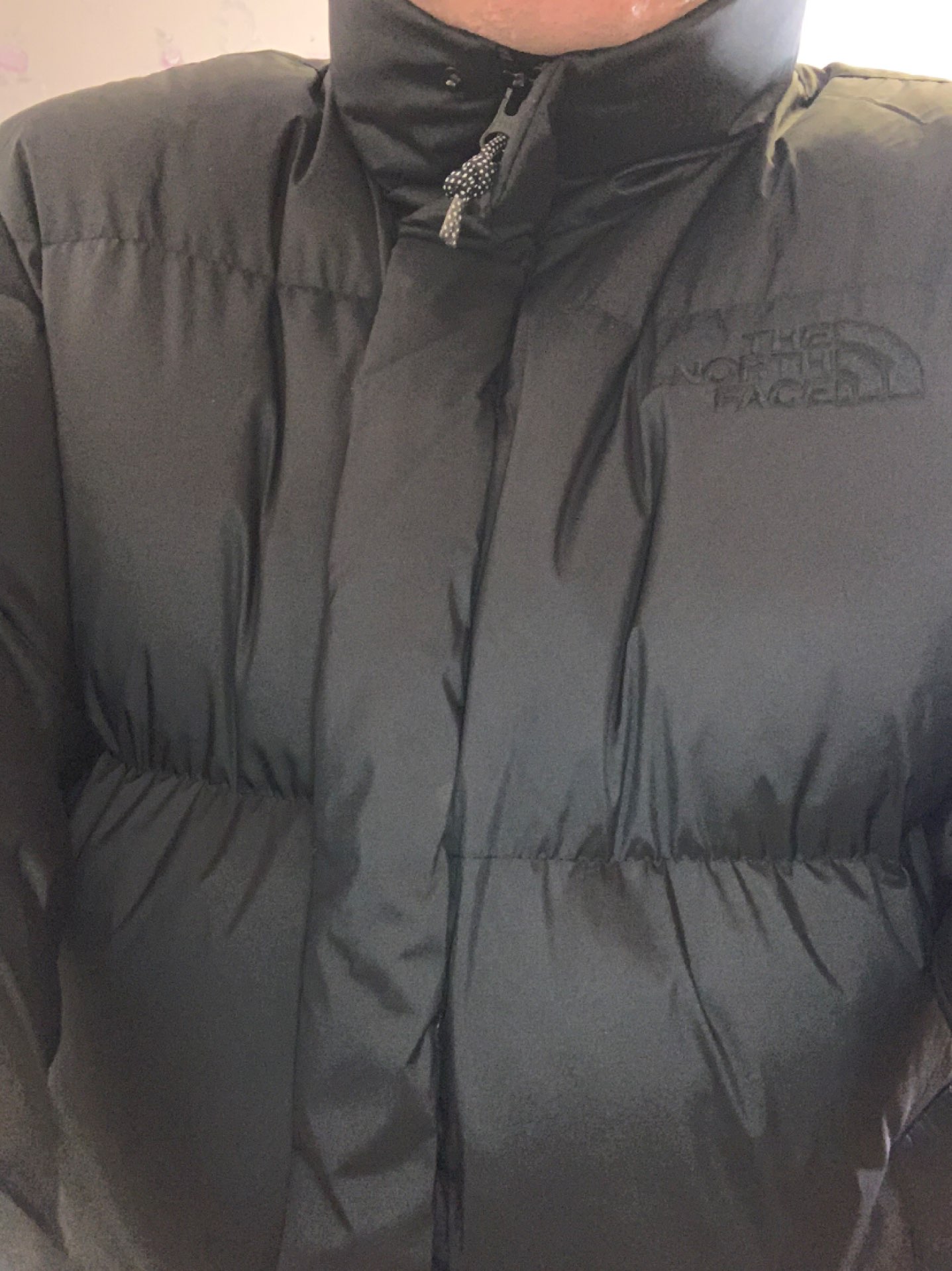 custom review-THE NORTH FACE Пуховик Унисекс Черный