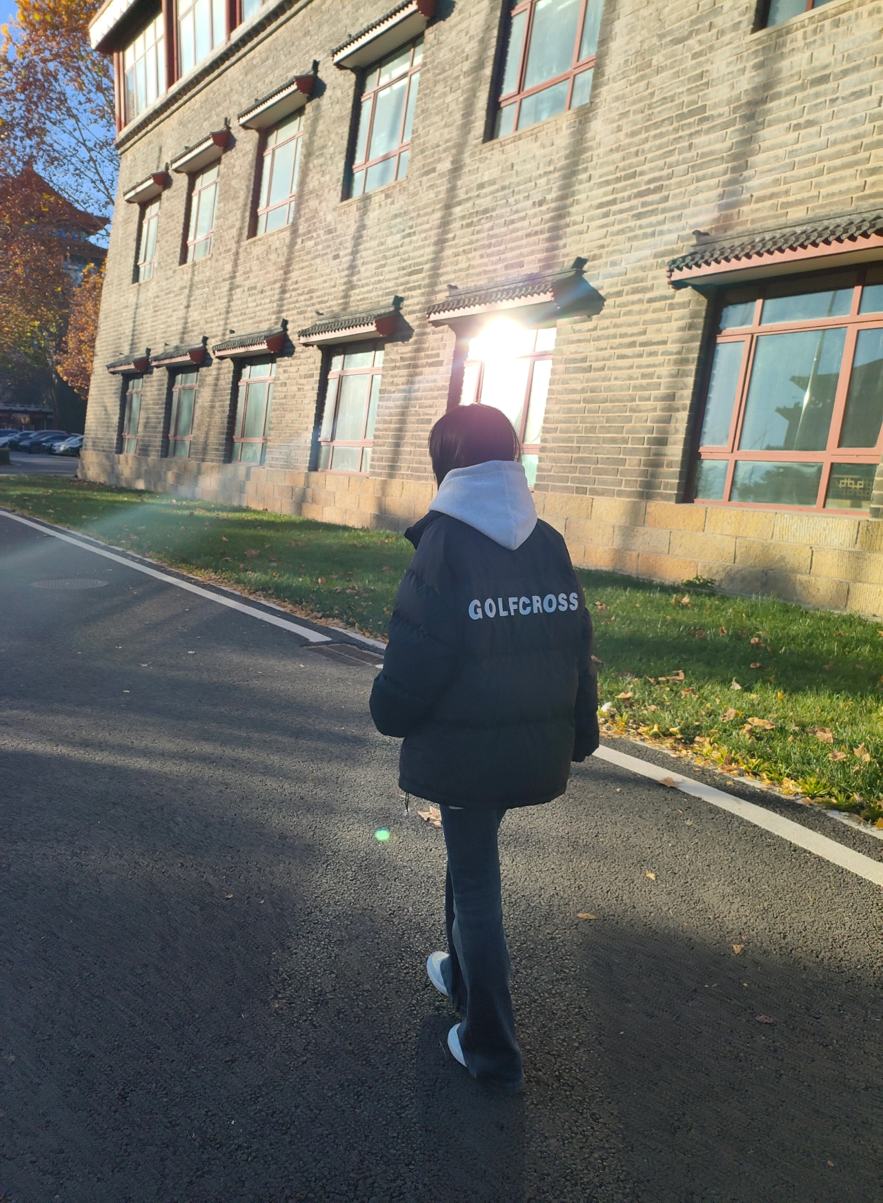 custom review-CAMEL Антистатический Многоцветный Термический Холодостойкий Ветрозащитный С капюшоном Пуховая куртка с анти-пиллингом Пух Унисекс