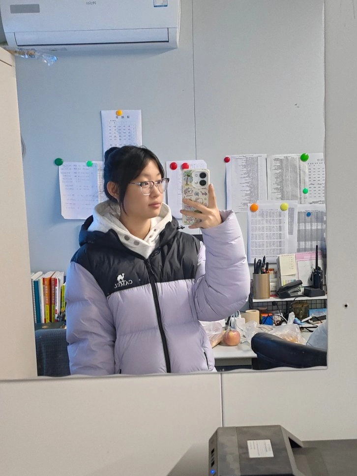 custom review-CAMEL Антистатический Многоцветный Термический Холодостойкий Ветрозащитный С капюшоном Пуховая куртка с анти-пиллингом Пух Унисекс