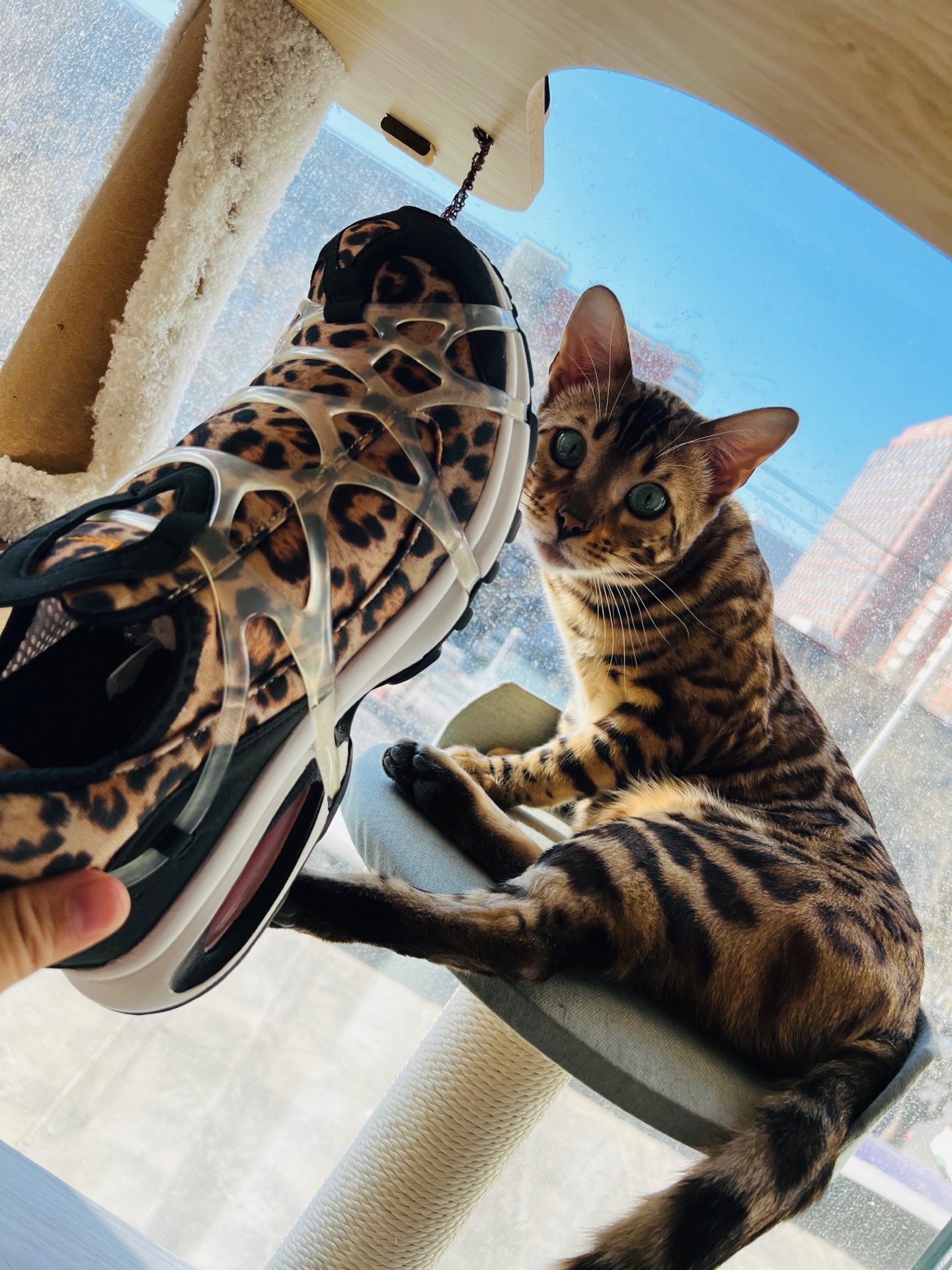 custom review-Nike Air Kukini SE 'Kumquat And Action Красный' Низкий Топ Casual Унисекс Черный Леопардовый принт