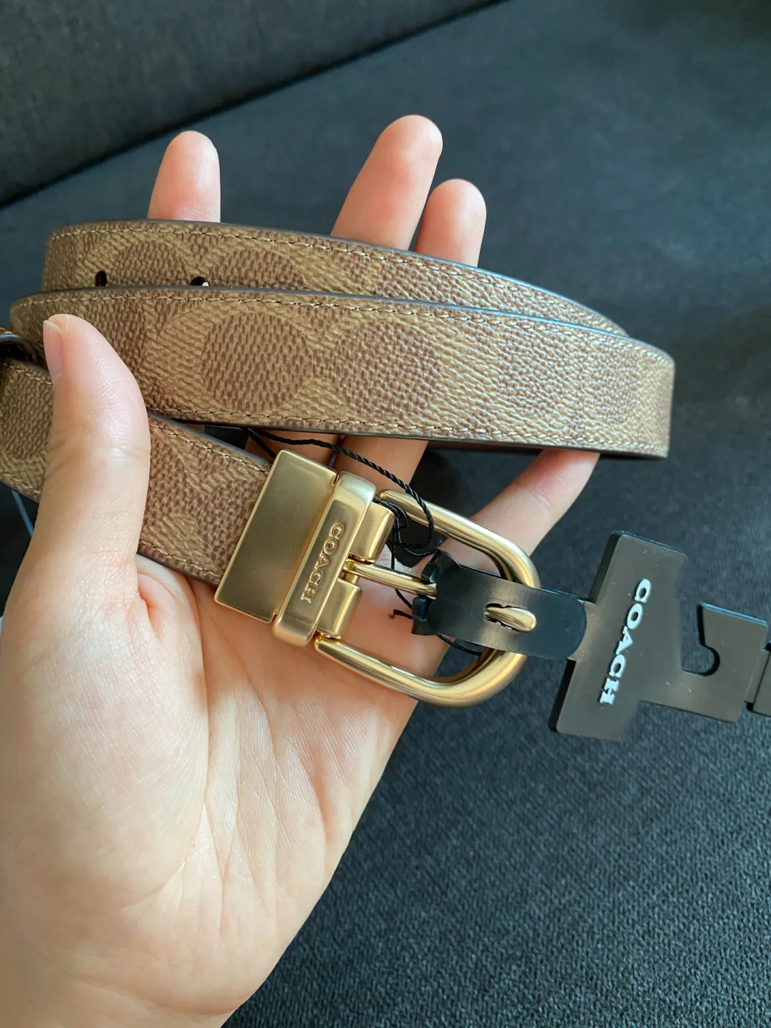 coach新款奶茶色皮带