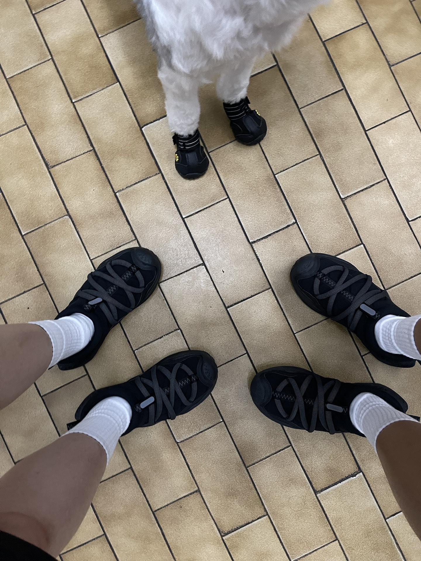 custom review-HOKA ONE ONE Ora Primo Амортизация Низкий Топ Повседневная Обувь Мужская Светло-Розовая