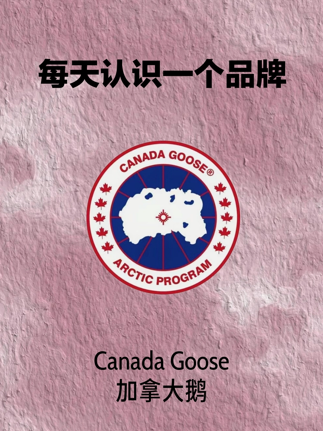 30秒认识一个品牌