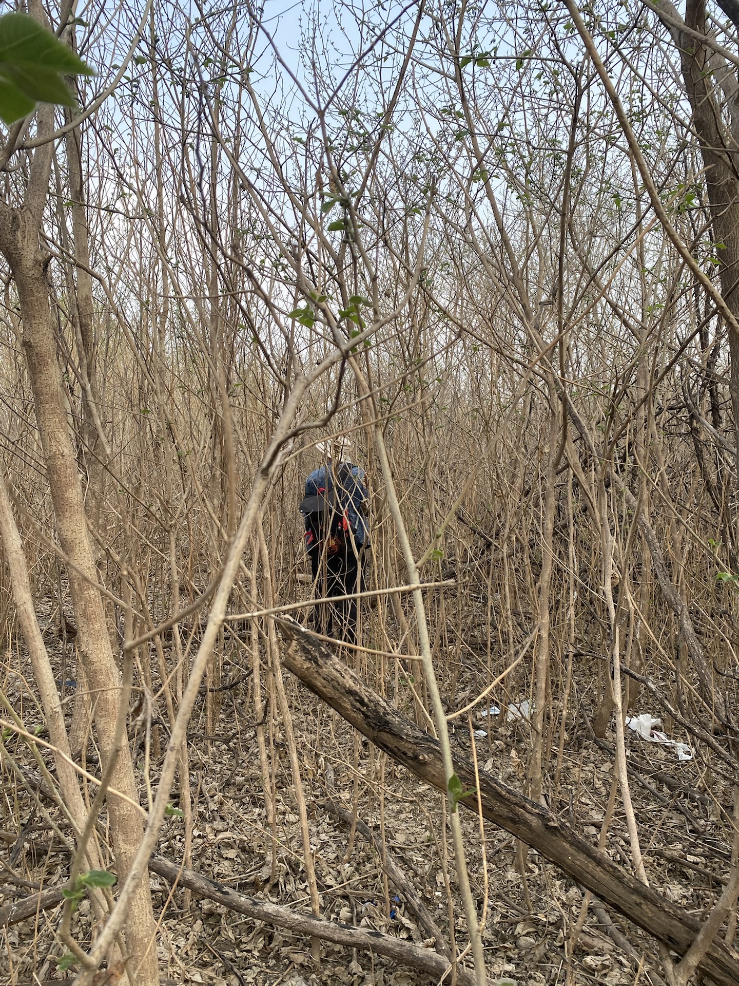 custom review-Asics Gel Nandi OG Удобный Текстиль Синтетическая Кожа Низкий Топ Беговые Кроссовки Женские Белые