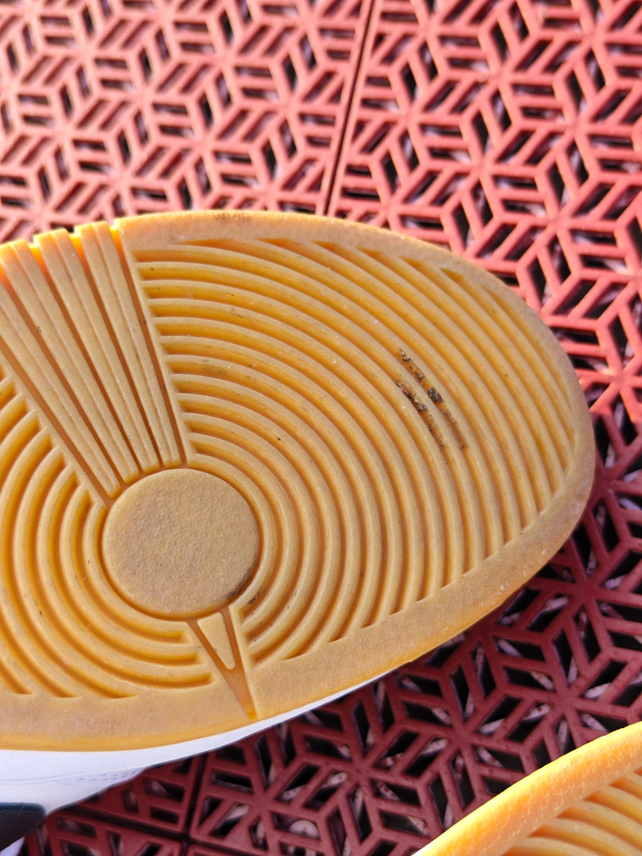custom review-Nike Sb Dunk Low Pro White Gum