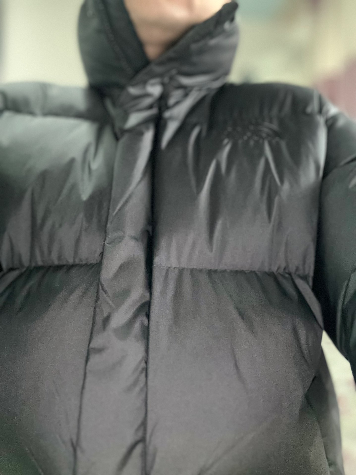 custom review-THE NORTH FACE Пуховик Унисекс Черный