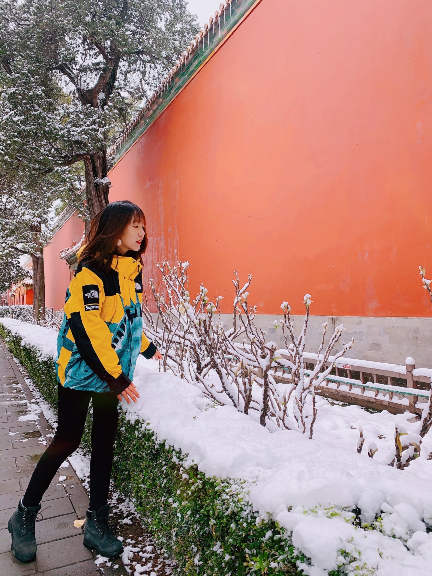 supreme tnf 自由女神