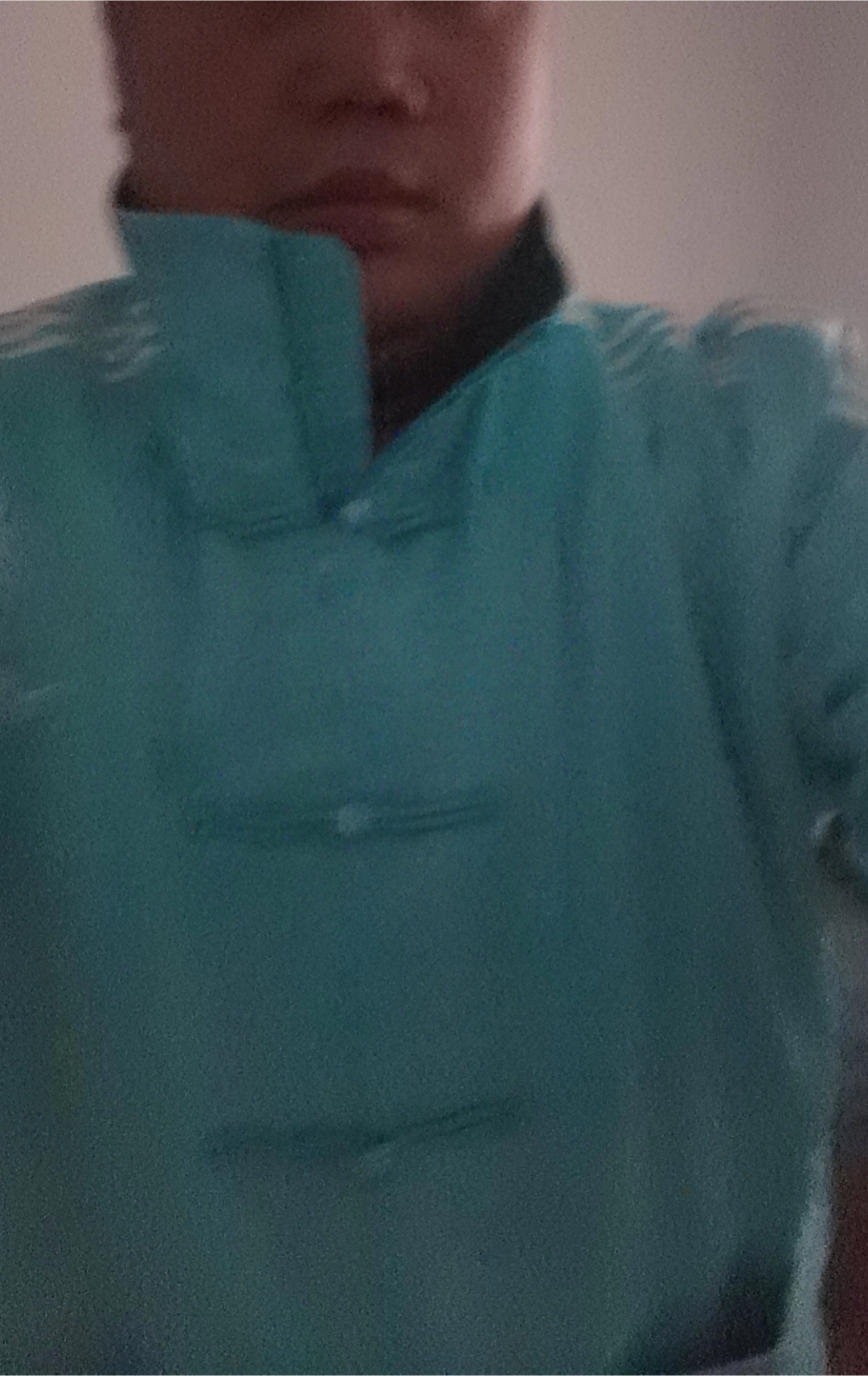 custom review-Adidas Originals SATIN TRACK TOP Куртки Пальто Унисекс Мятно-зеленый