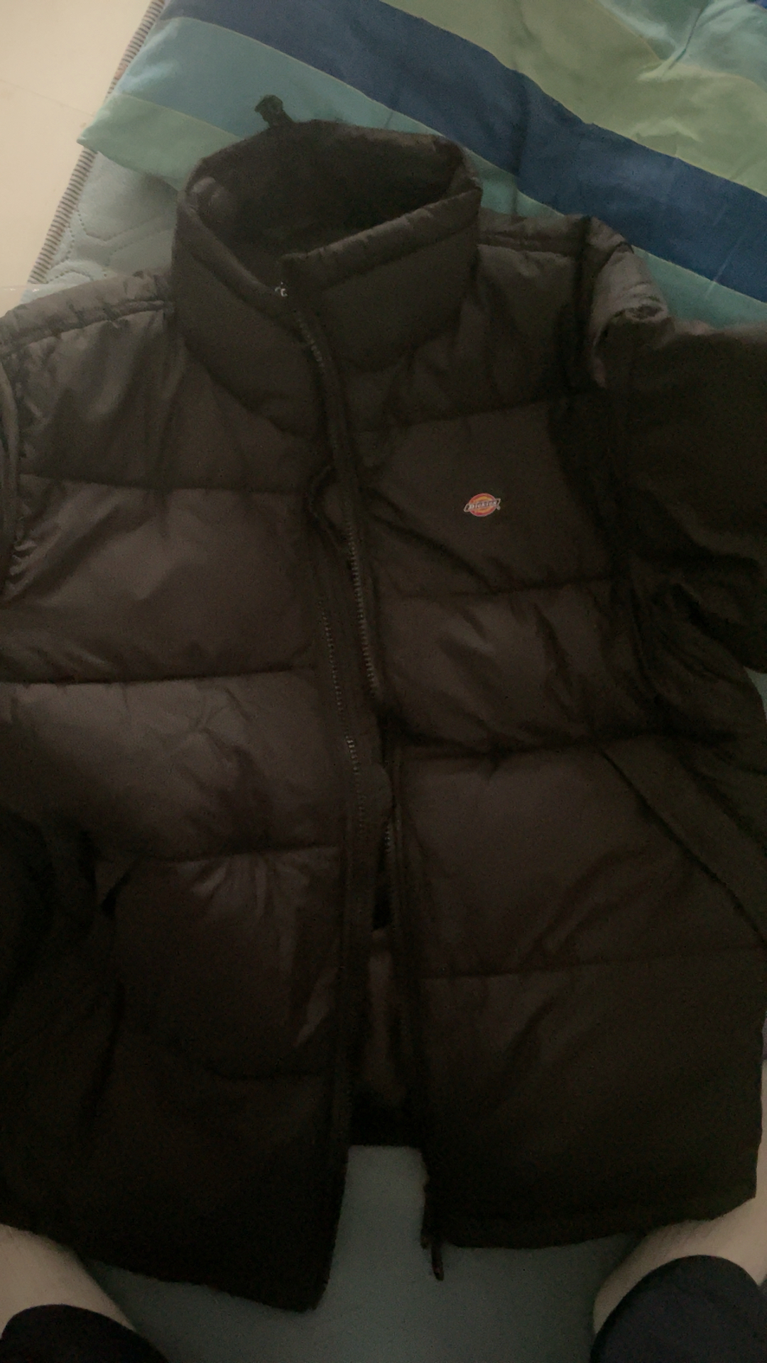 custom review-Dickies Унисекс Объемные куртки (пуфы)