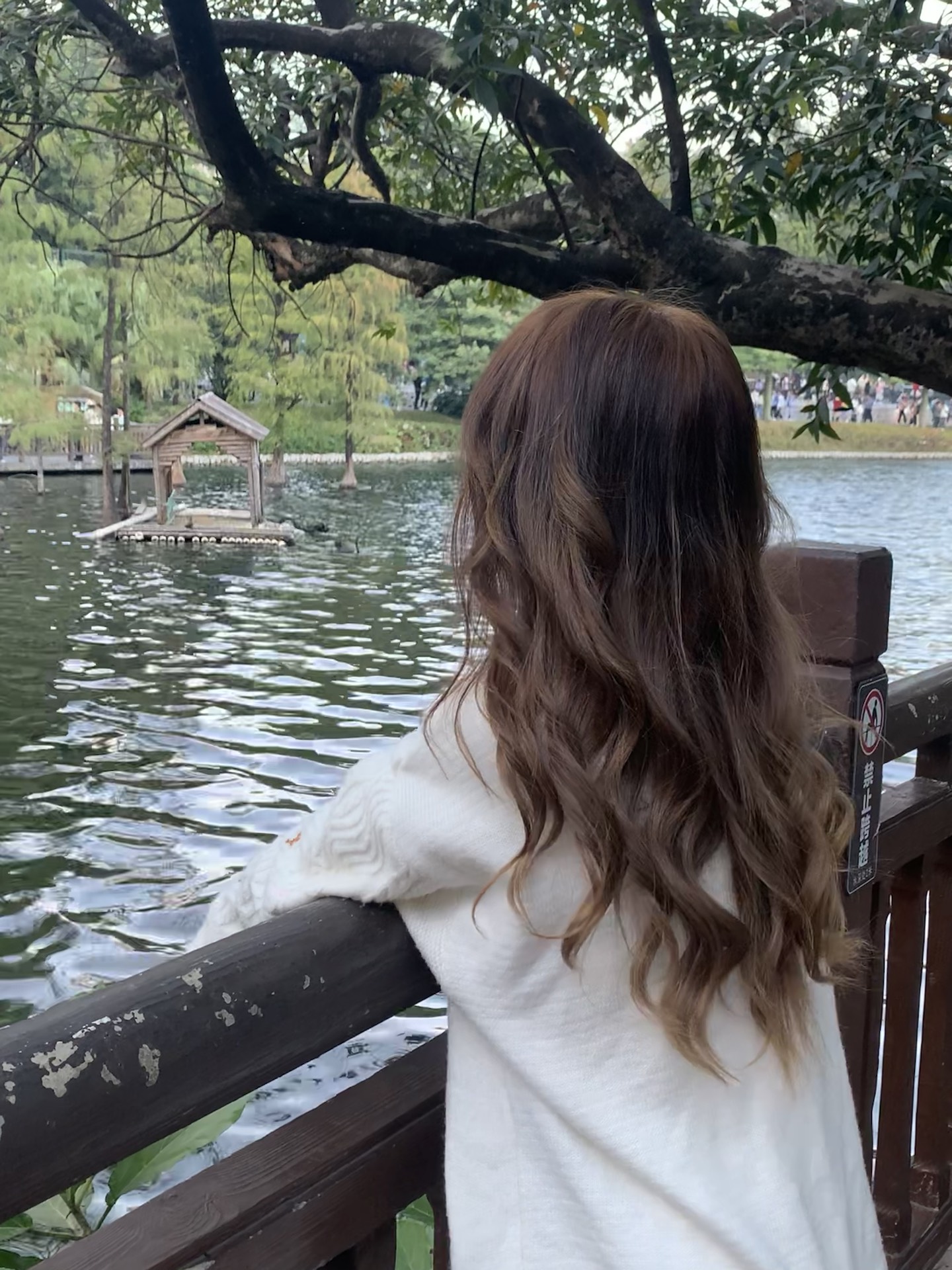 这个背影杀是头发给的