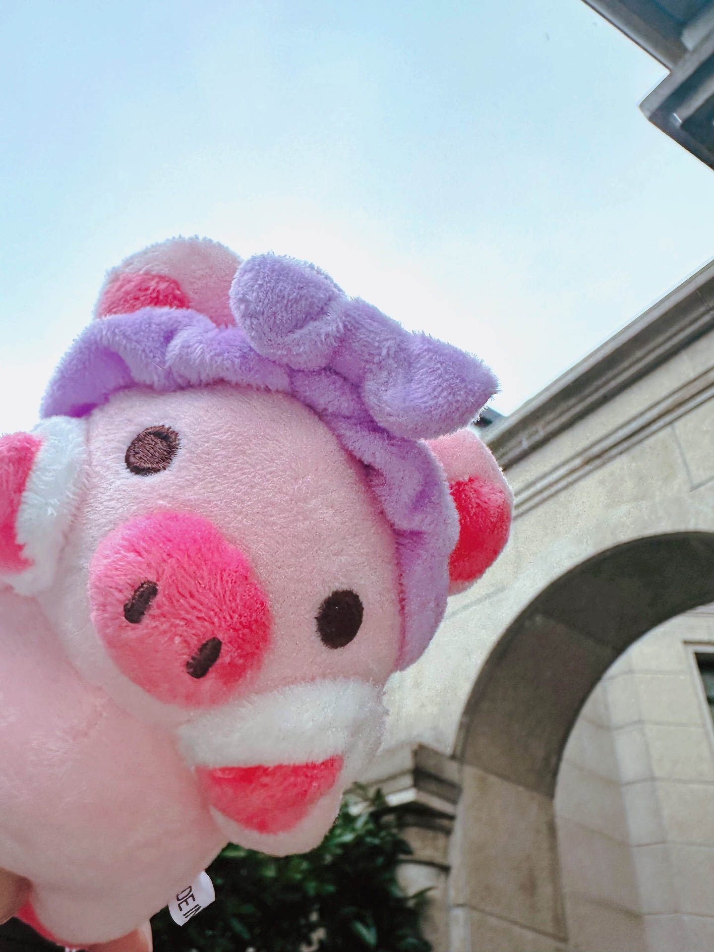 custom review-nike AS W NSW Cozy FLC OS CRW Толстовка Женская Розовая