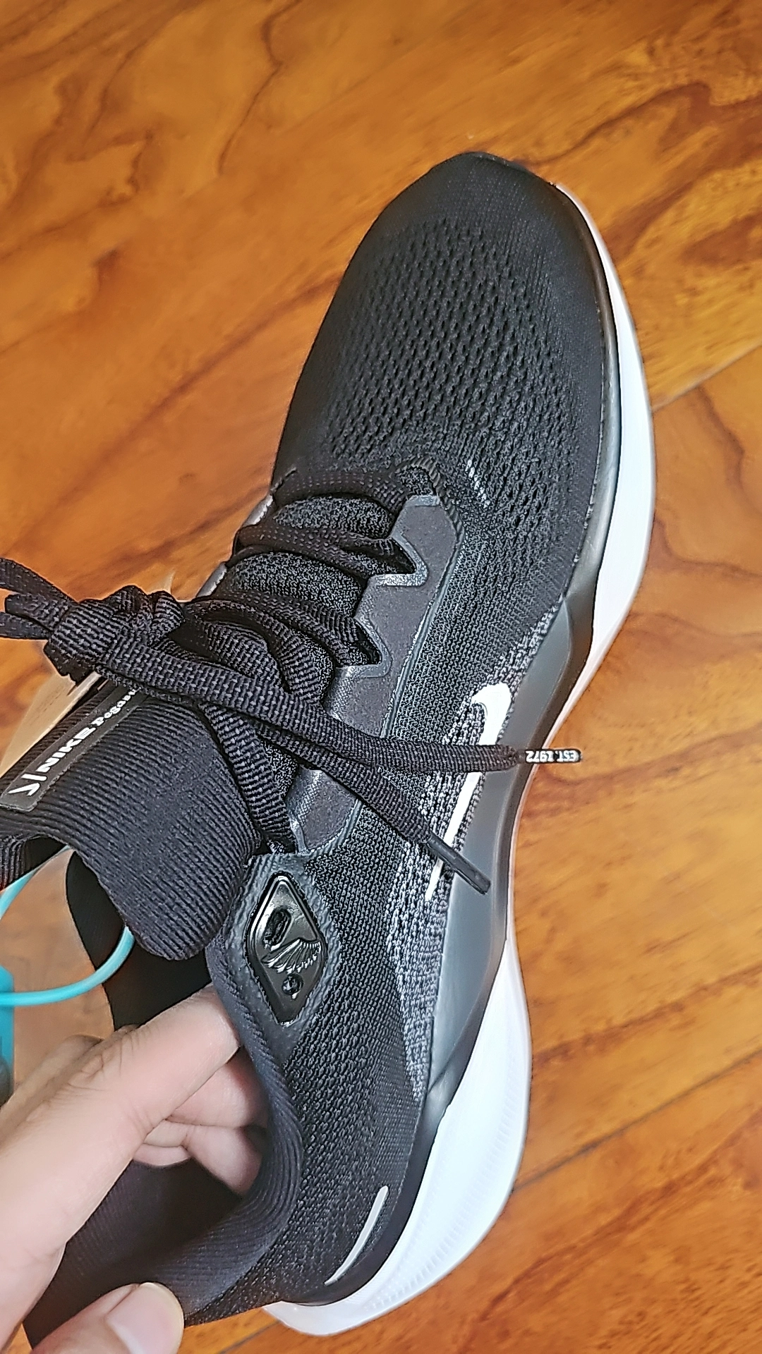 custom review-Nike Pegasus 41 Амортизация и Дышащий Низкий Топ Беговые кроссовки Мужские Черные