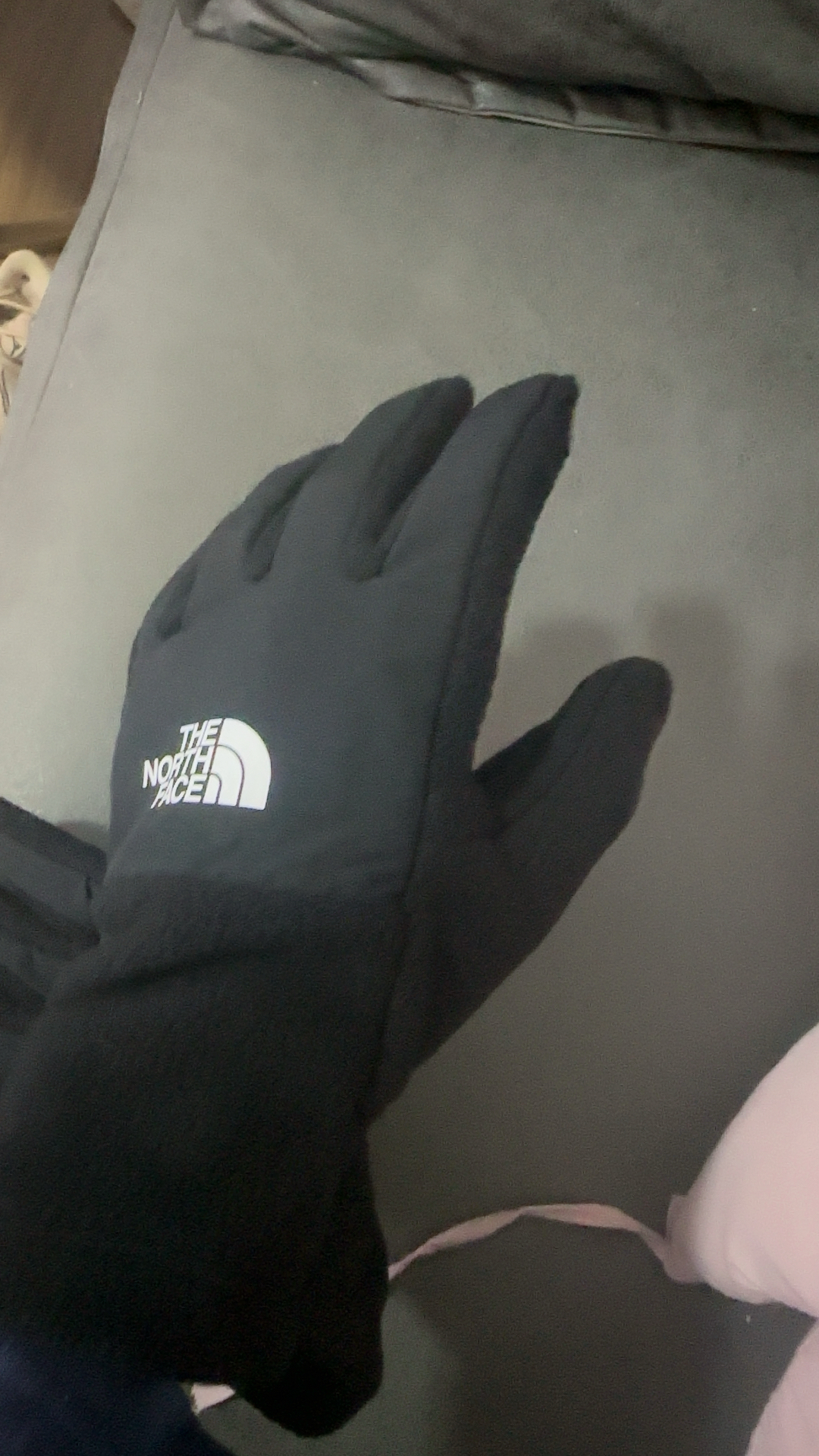 custom review-THE NORTH FACE Полиэстер Нейлон Синтетическая кожа Вязаные перчатки Унисекс Черный