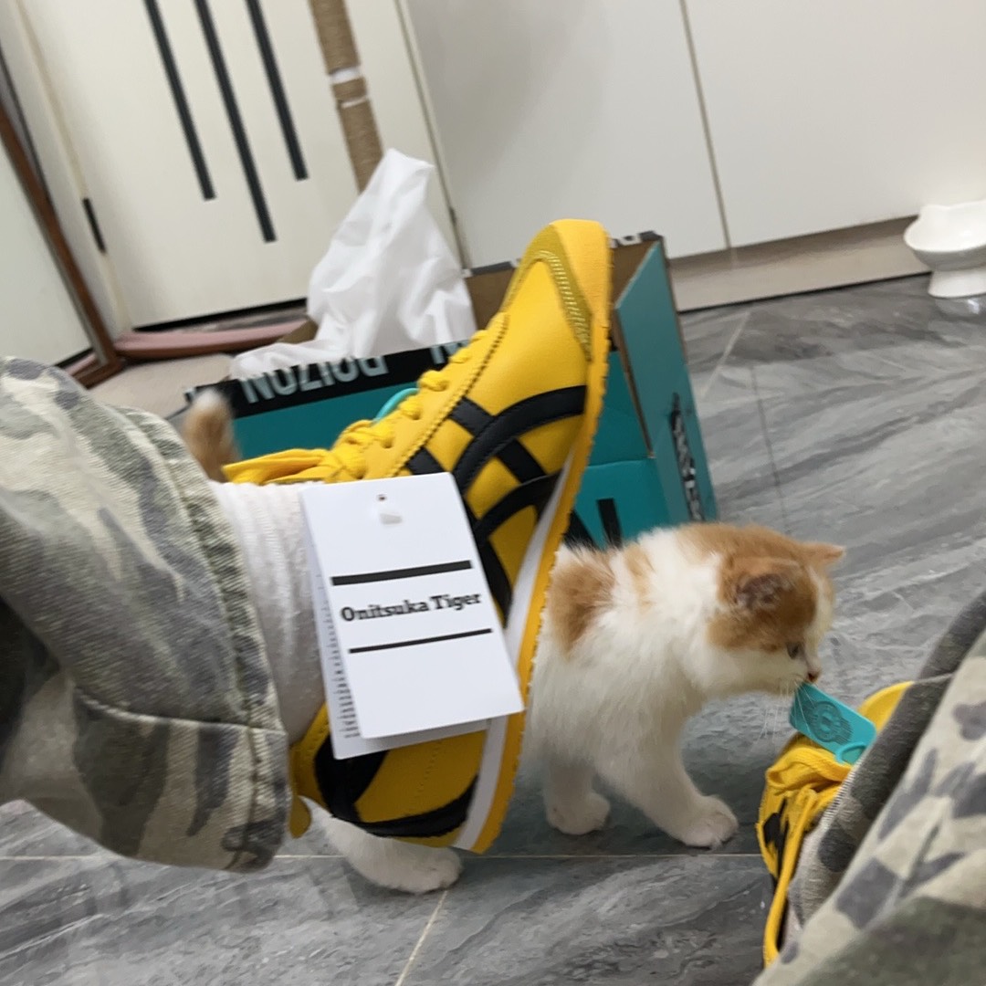 custom review-Onitsuka Tiger Onitsuka Tiger Mexico 66 Kill Bill 2017