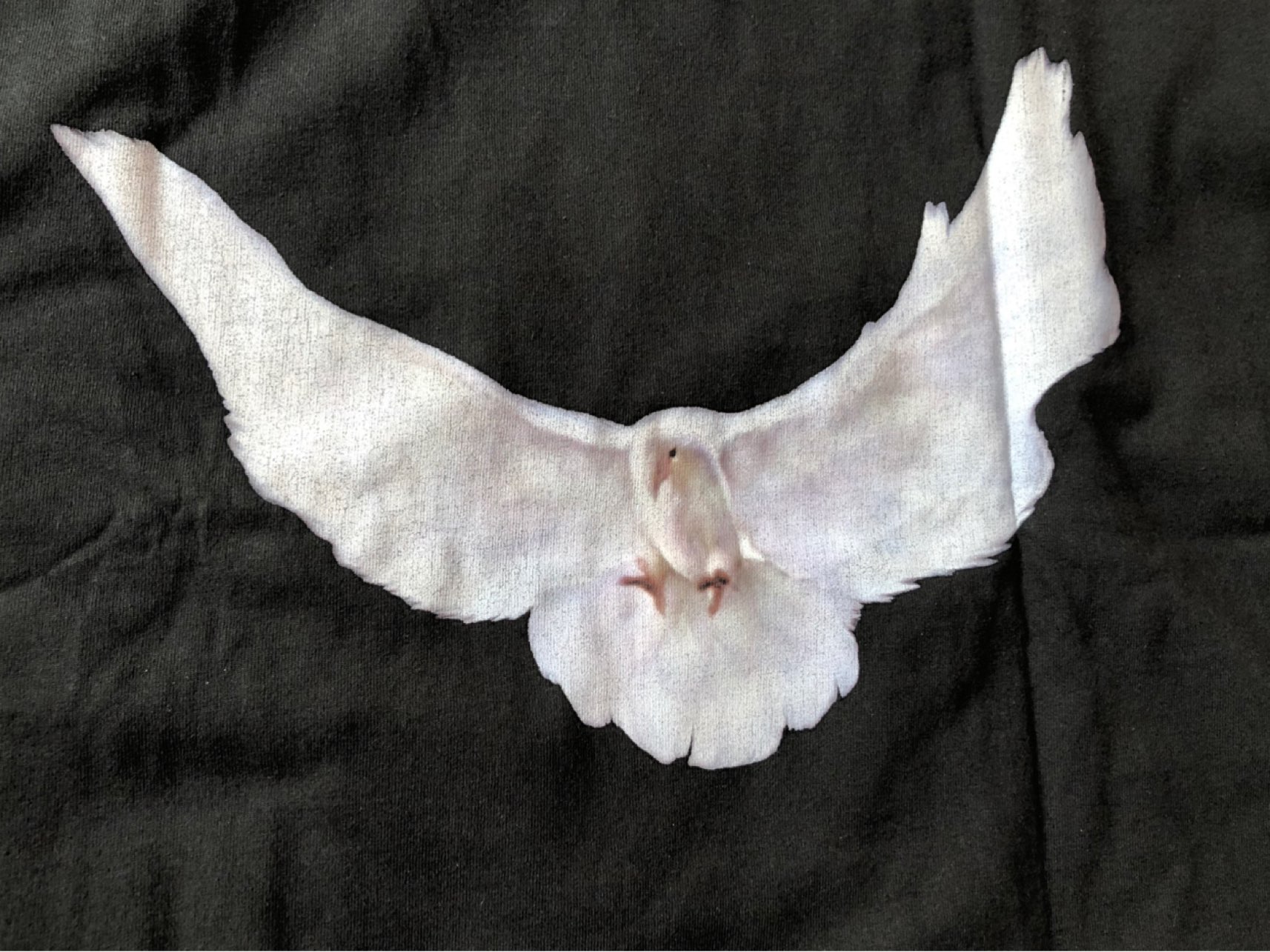 custom review-YEEZY Gap Dove No Seam Tee Black