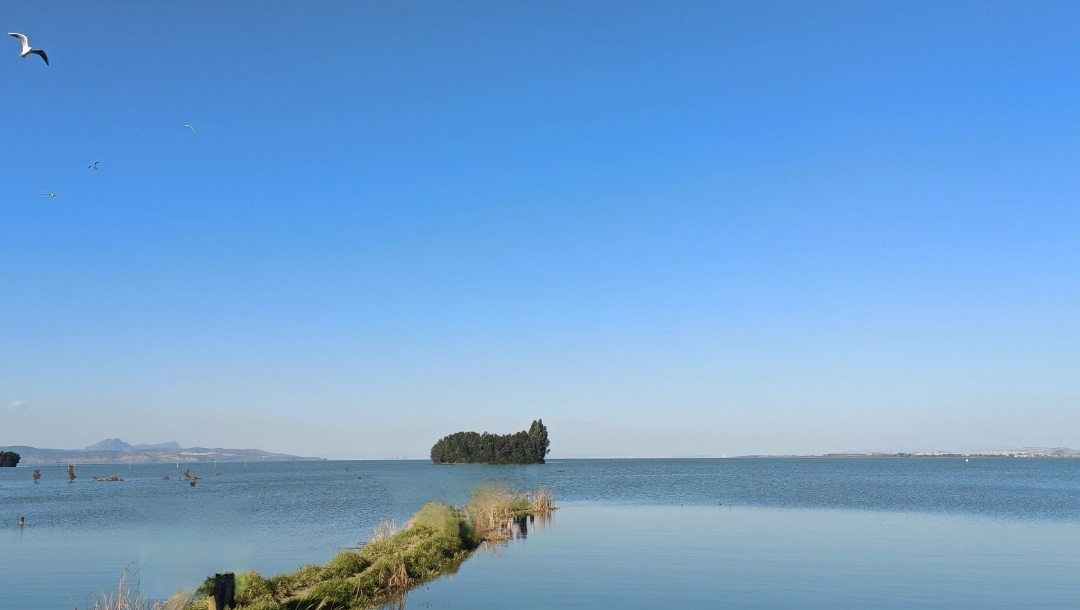 custom review-New Balance NB 550 Противоскользящий Устойчивый к истиранию Легкий Низкий Топ Винтажные Баскетбольные Кроссовки Унисекс Белый Черный