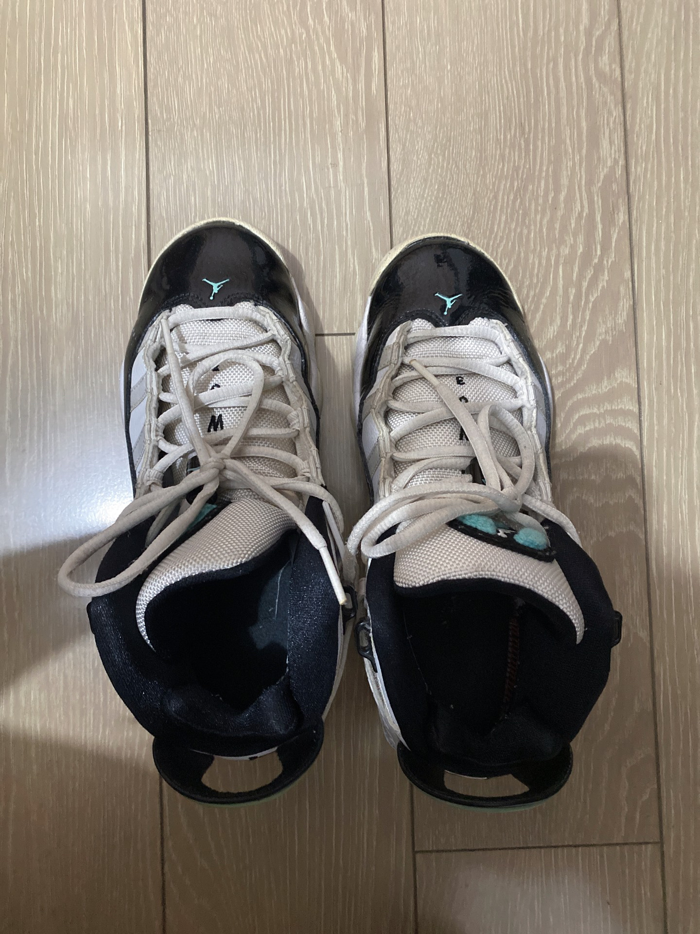 aj6rings六冠王图片