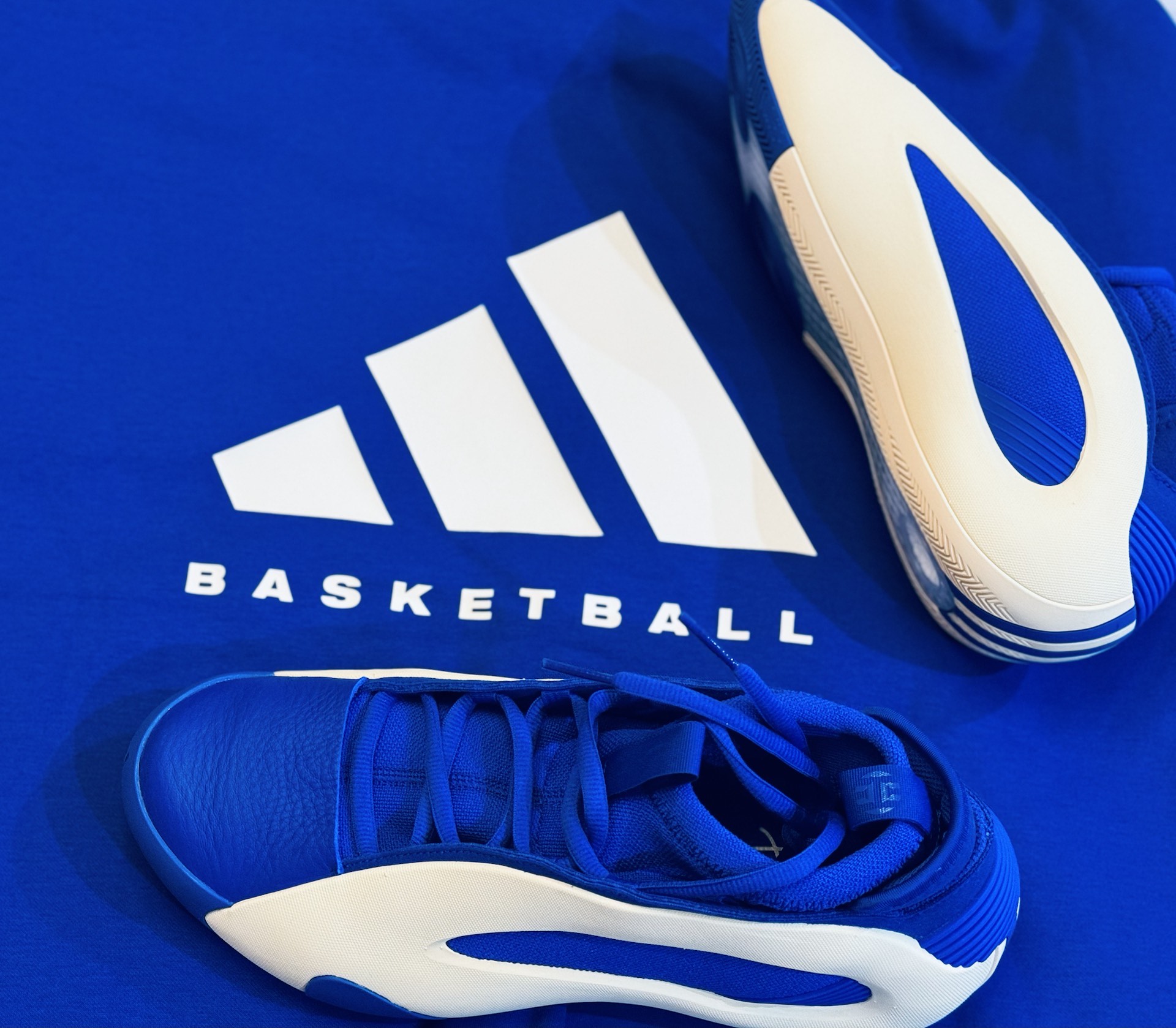 custom review-Adidas Harden Vol. 8 'Blue Fusion'