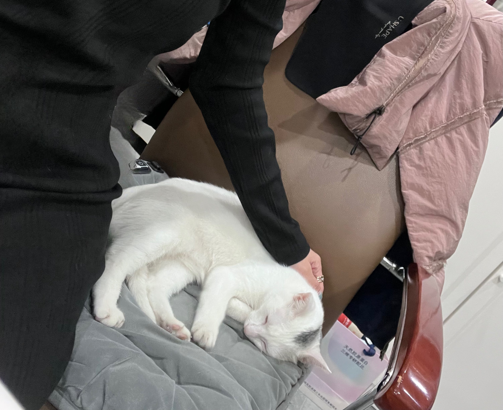 custom review-Calvin Klein Длинное платье с длинными рукавами для женщин цвет космический черный