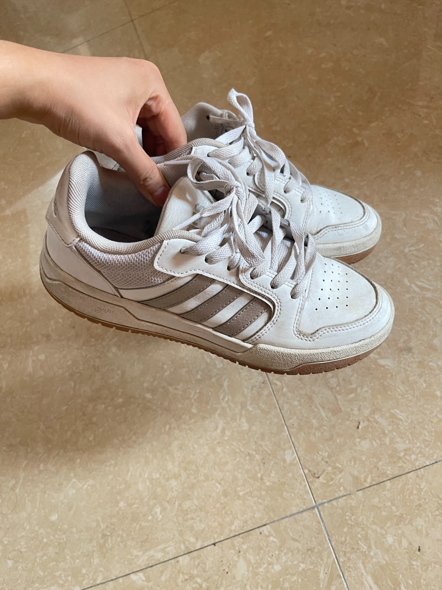 宝藏鞋子阿迪达斯 #阿迪达斯贝壳头 #超级好看的阿迪达斯 #超级嚎看