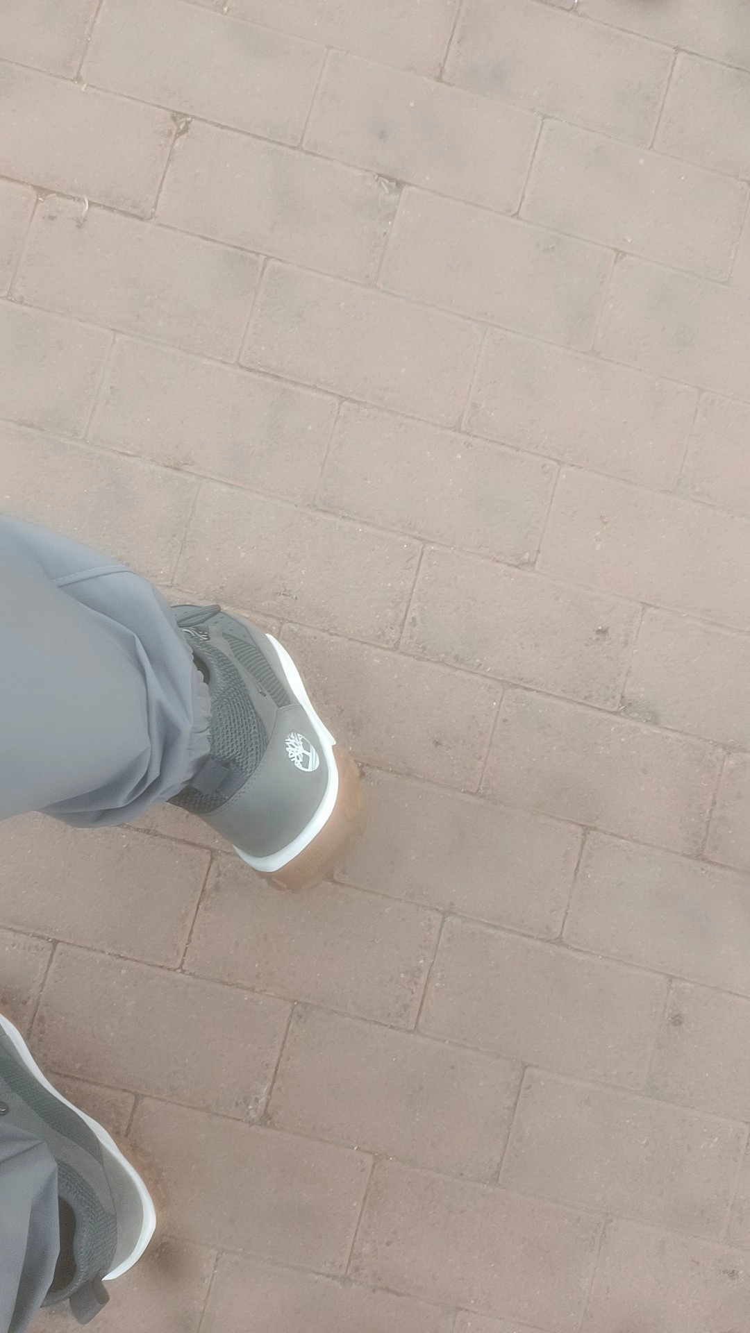 custom review-Timberland Motion 6 Slip-Resistant MID Топ Походная обувь Мужская Серый