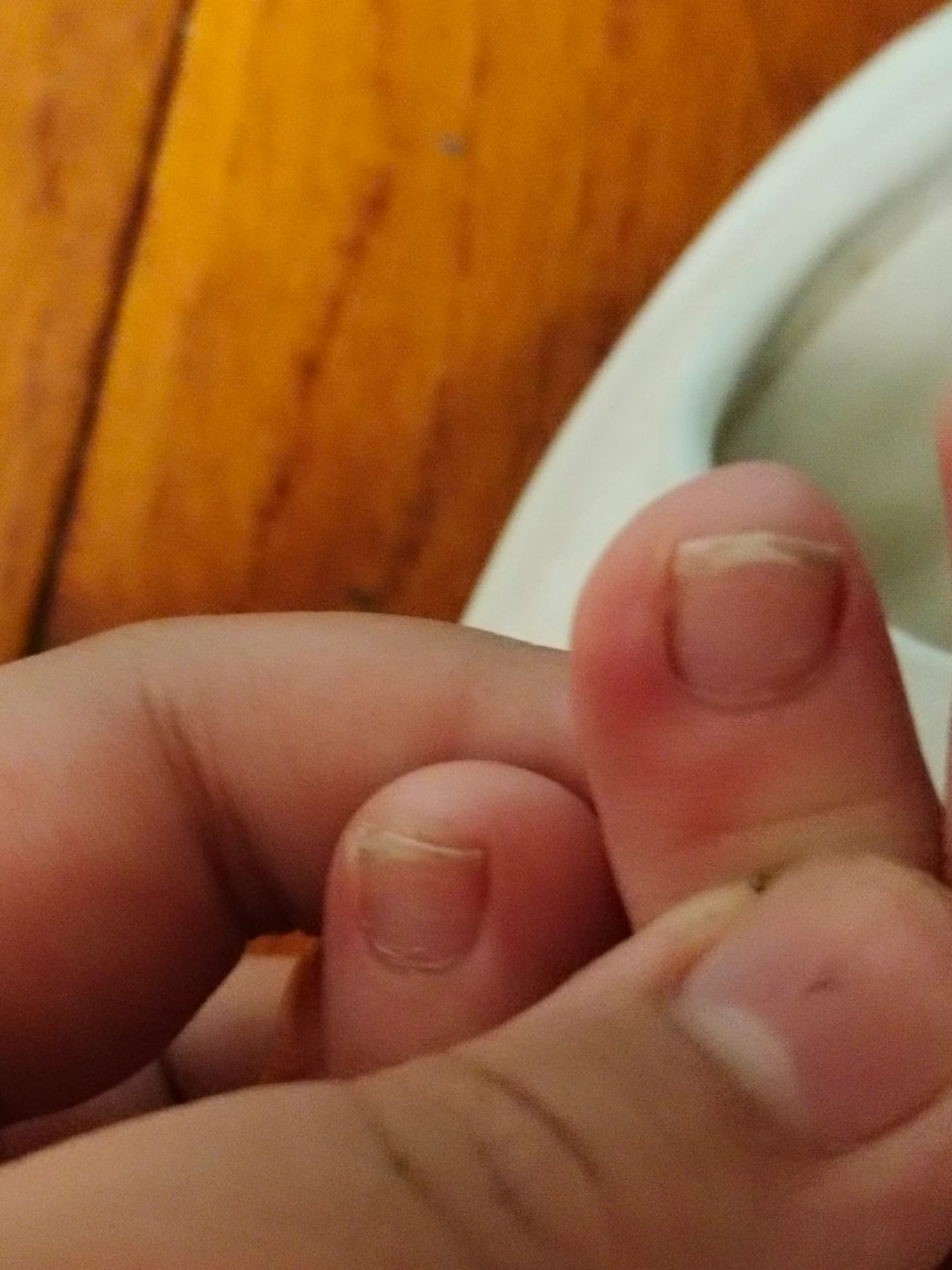 custom review-ANTA GH4 Hayward 4 Азотная технология Противоскользящие Устойчивые к истиранию Низкий топ Баскетбольные кроссовки Мужской Hometown