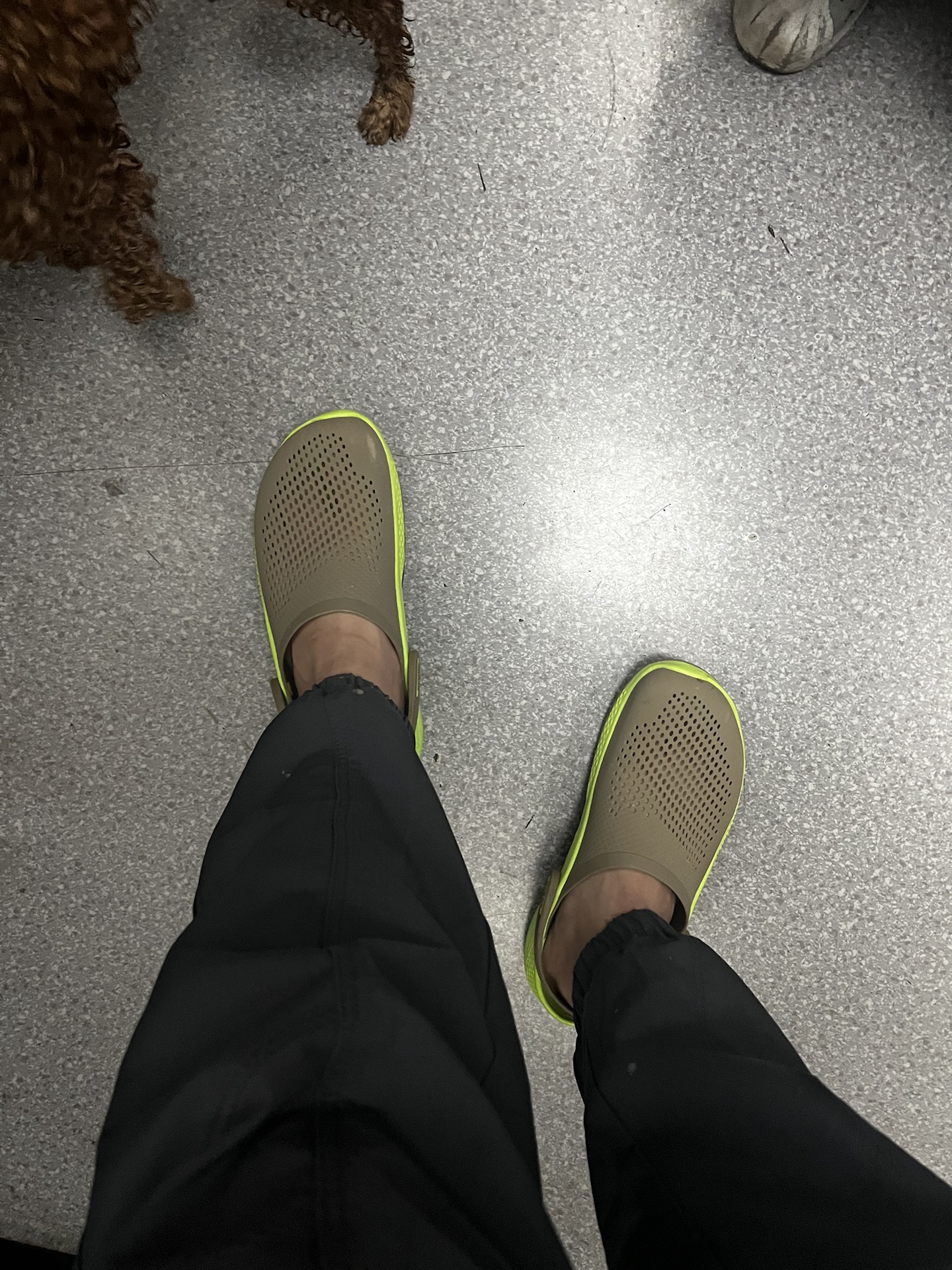 Фото из отзыва
