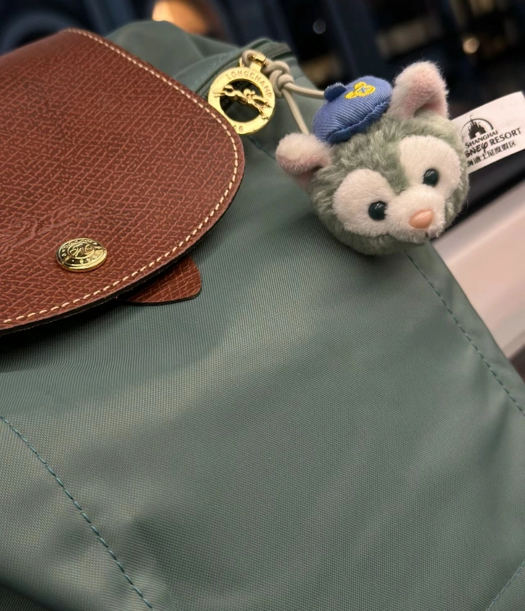 custom review-LONGCHAMP Le Pliage Холст Рюкзак Средний Женский Шалфей Зеленый