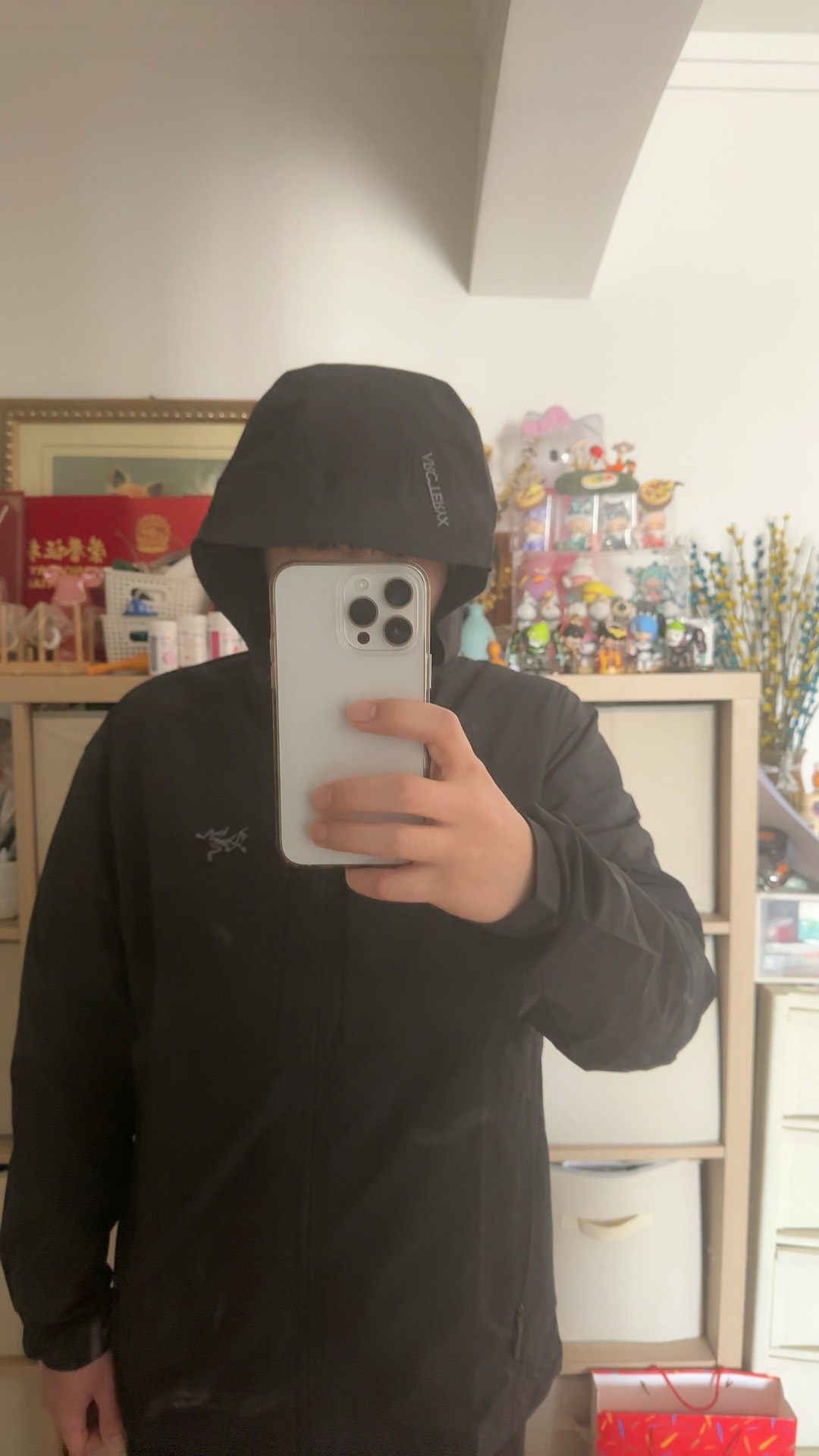 custom review-Arcteryx GAMMA LIGHTWEIGHT Куртки и Пальто Мужской