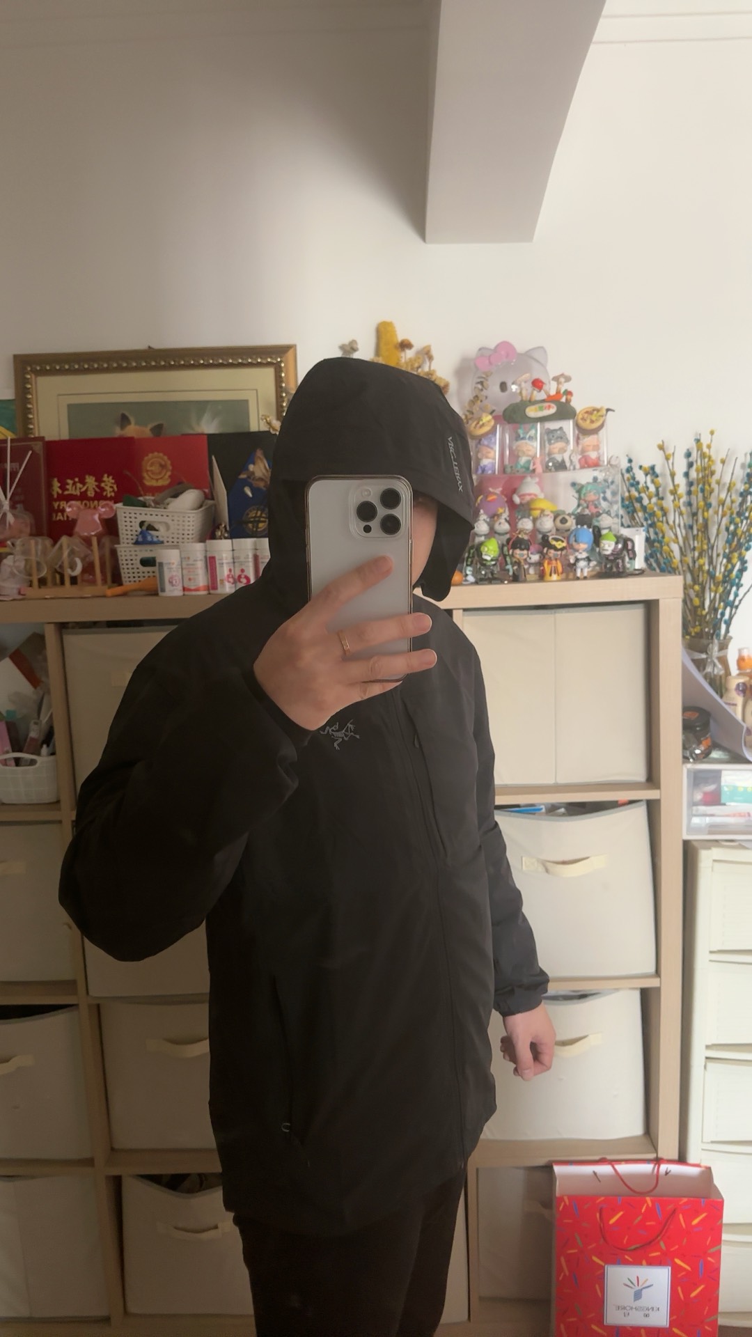 custom review-Arcteryx GAMMA LIGHTWEIGHT Куртки и Пальто Мужской