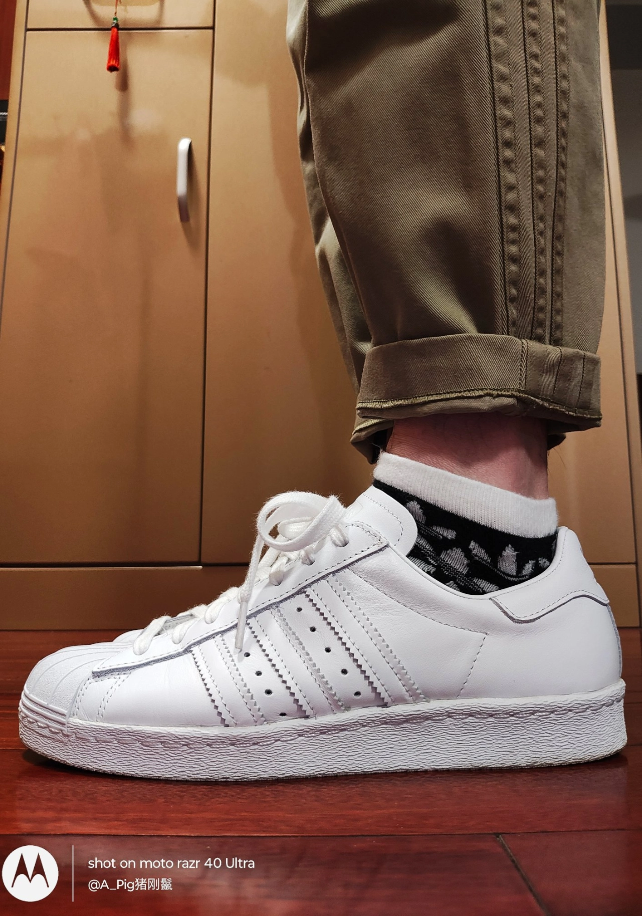 纯白贝壳头重现江湖